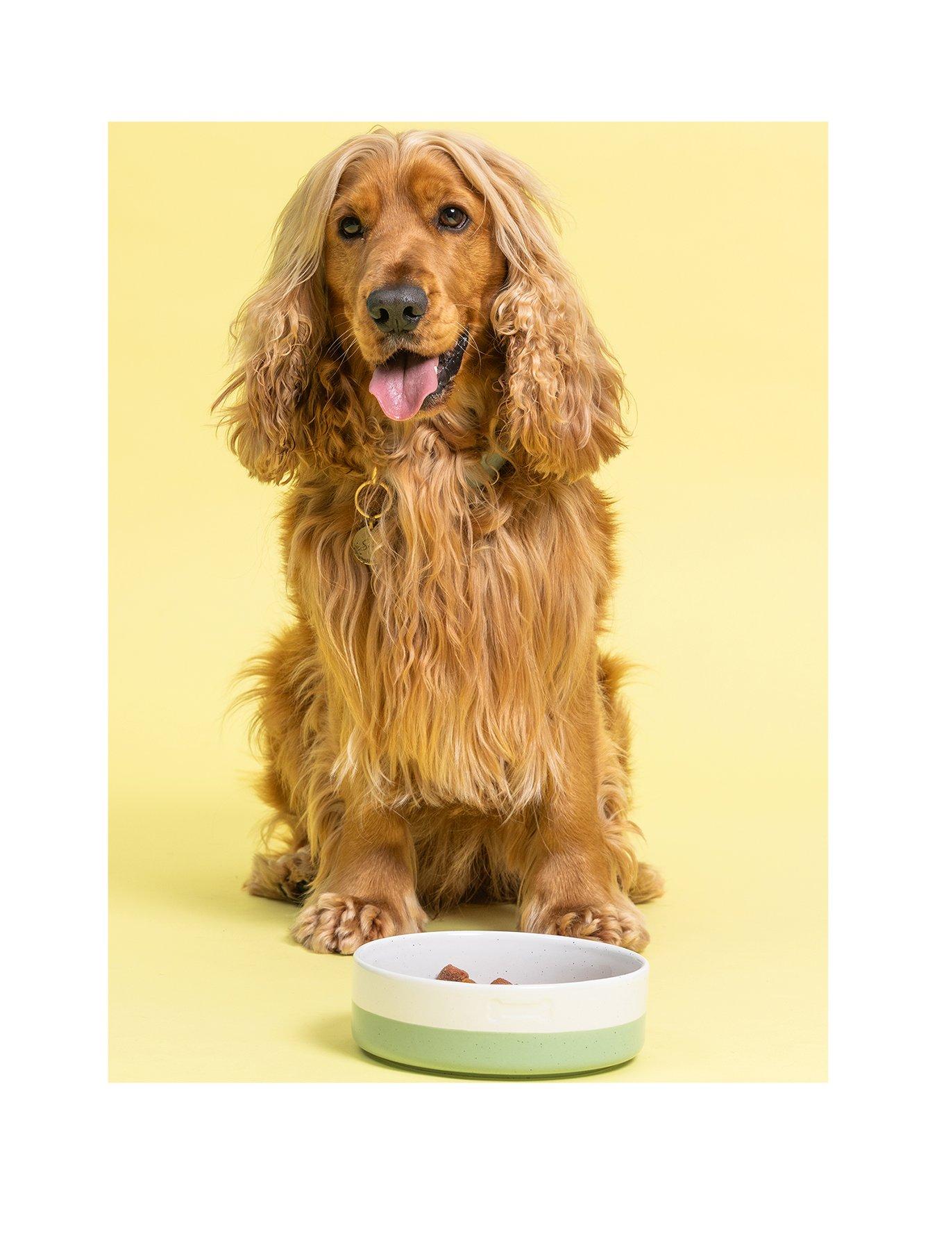 Mason Cash Set Of 2 Colour Dip Bone 18cm Bowls