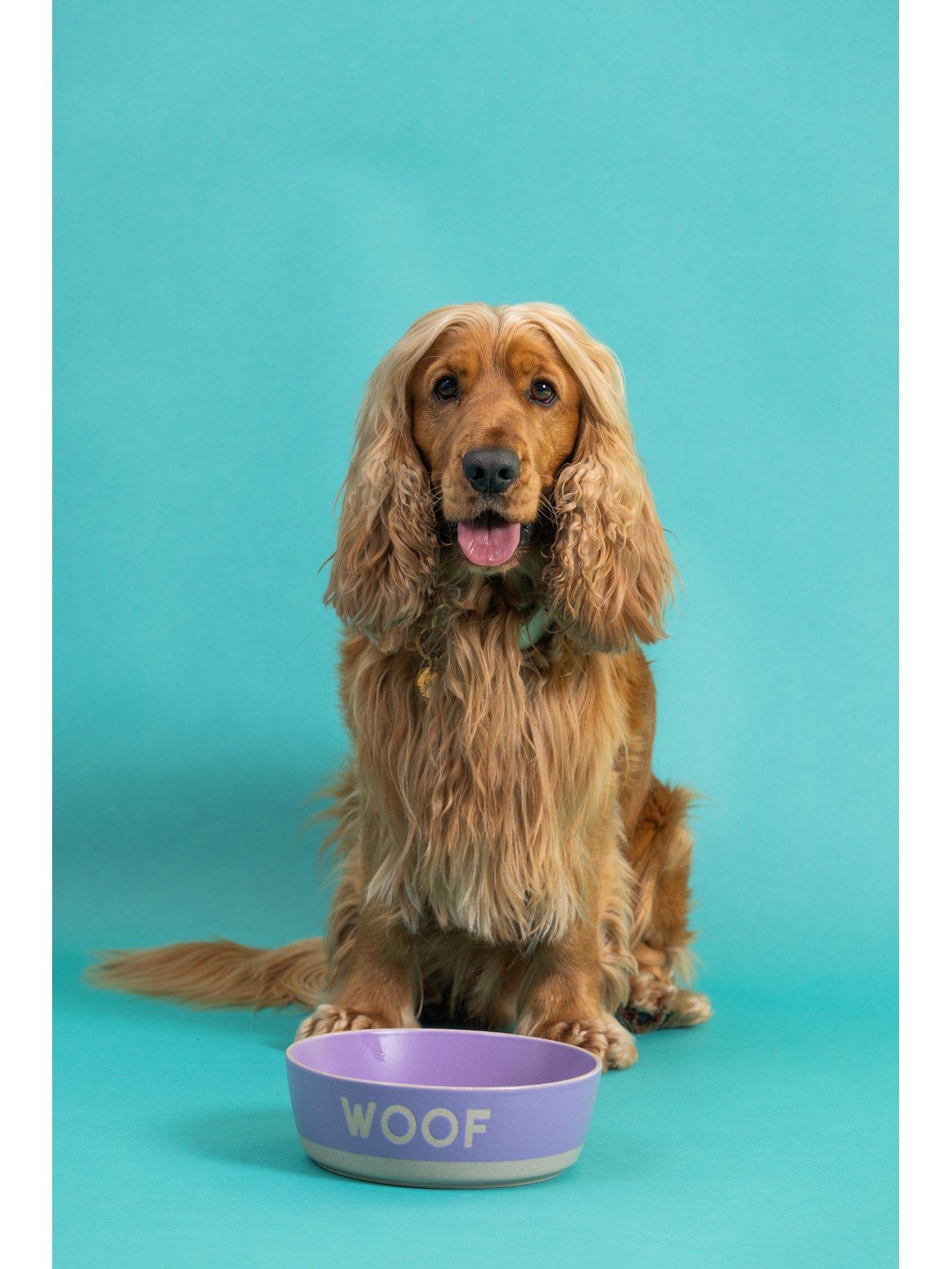 Mason Cash Set Of 2 Woof 20cm Bowls