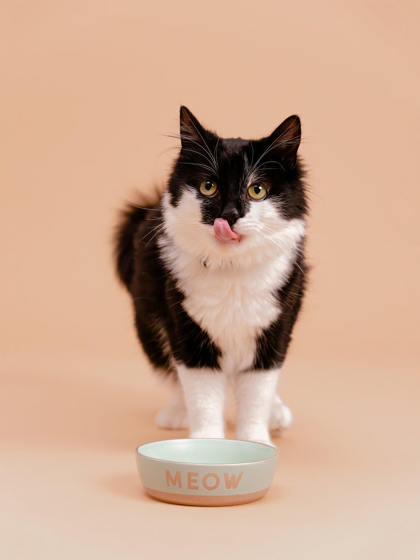 undefined Set Of 2 Meow 13cm Bowls
