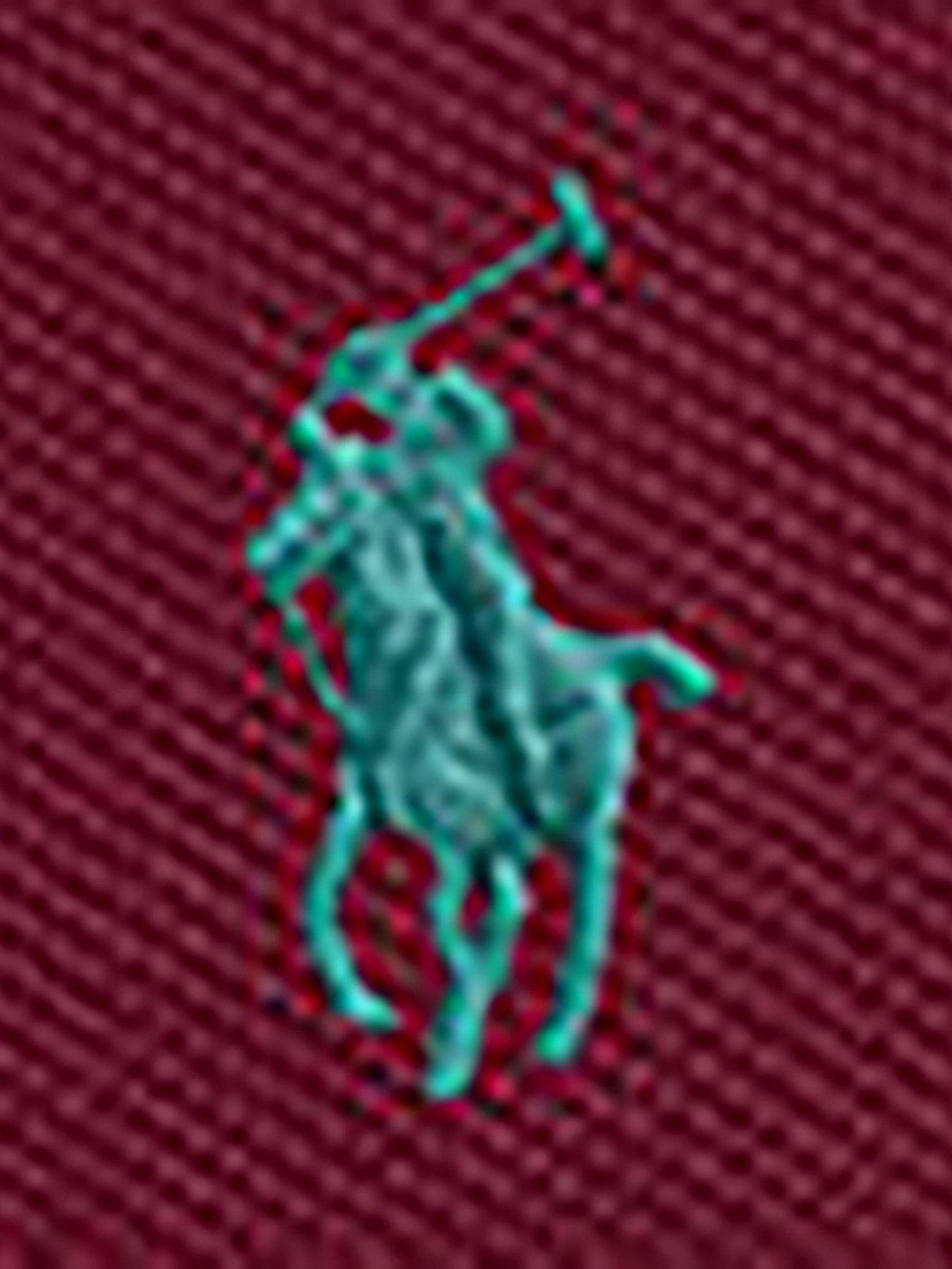 Image 3 of 3 of Polo Ralph Lauren Younger Boys Short Sleeve Polo Shirt - Wine