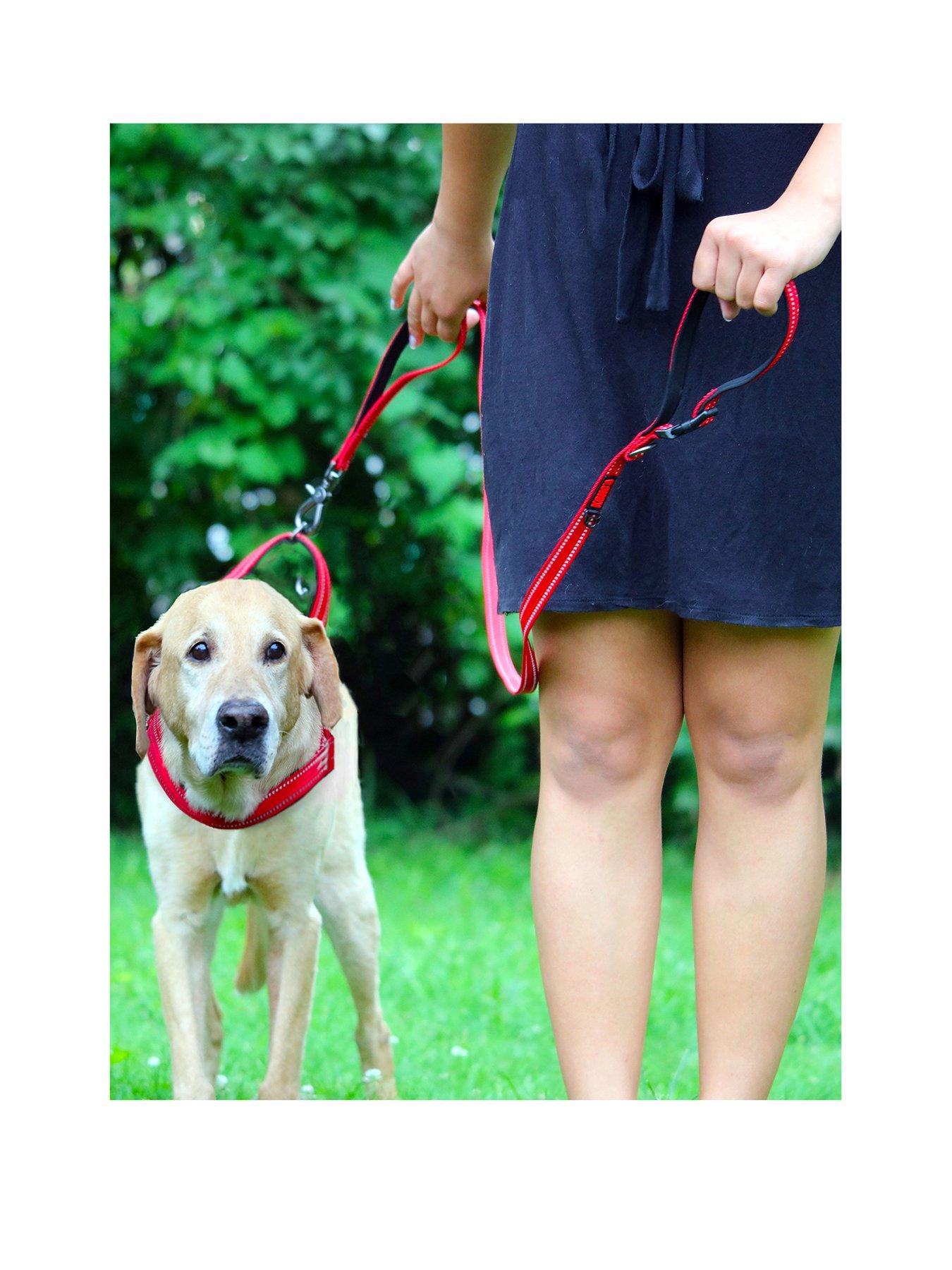 Image 2 of 4 of Kong Norwegian Harness Red