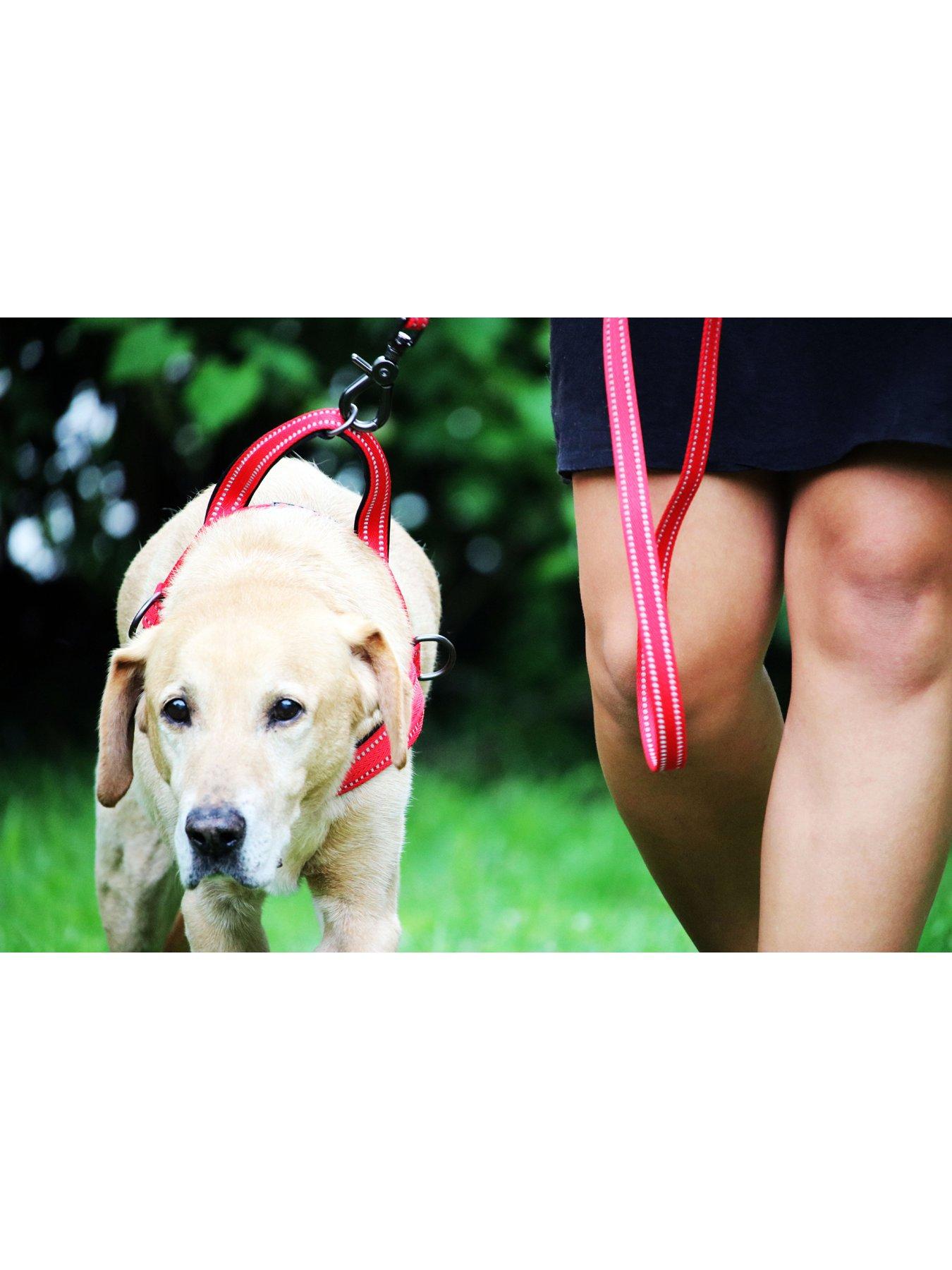 Image 3 of 4 of Kong Norwegian Harness Red