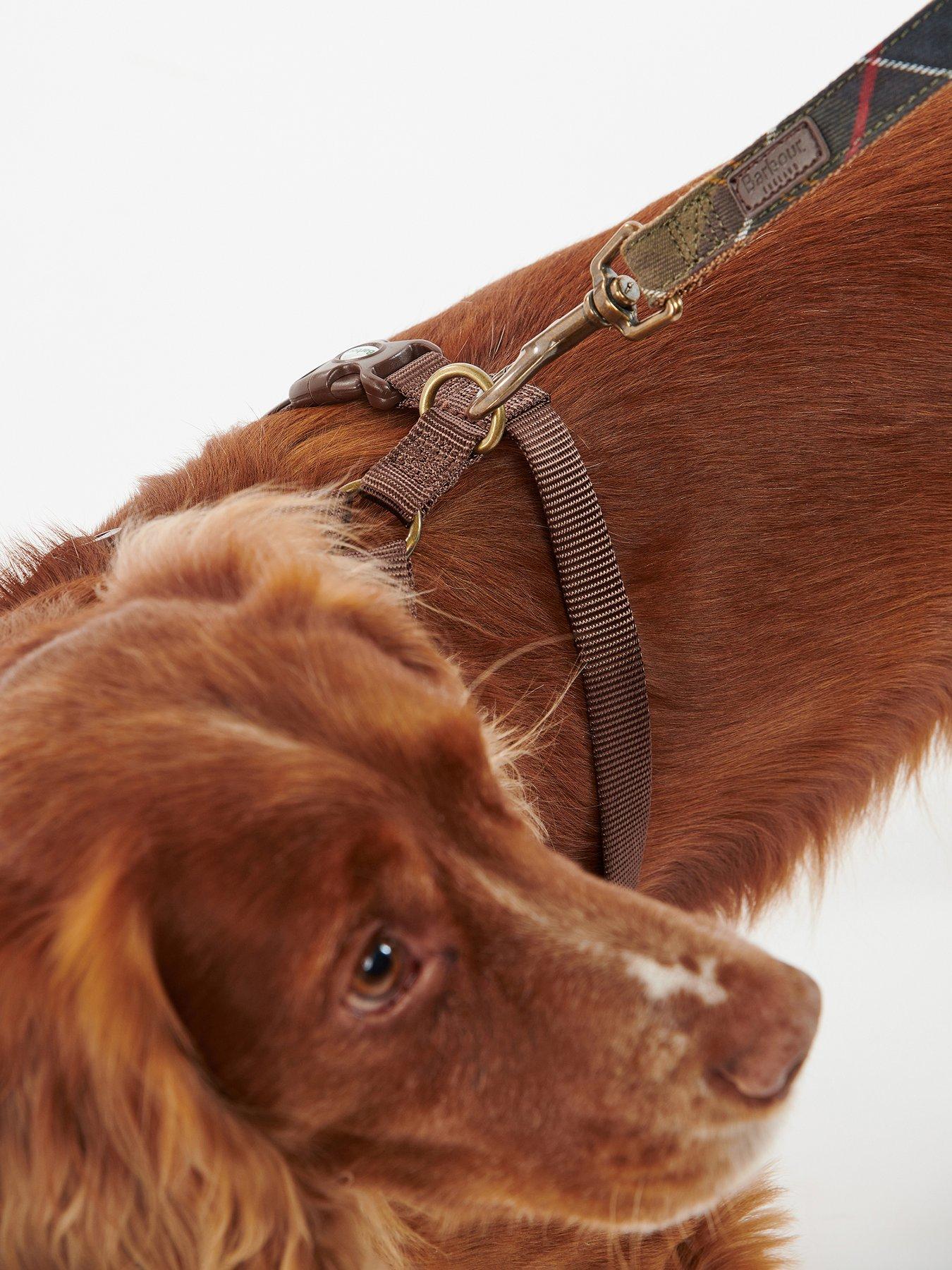 Image 5 of 5 of Barbour Travel And Exercise Dog Harness - Brown