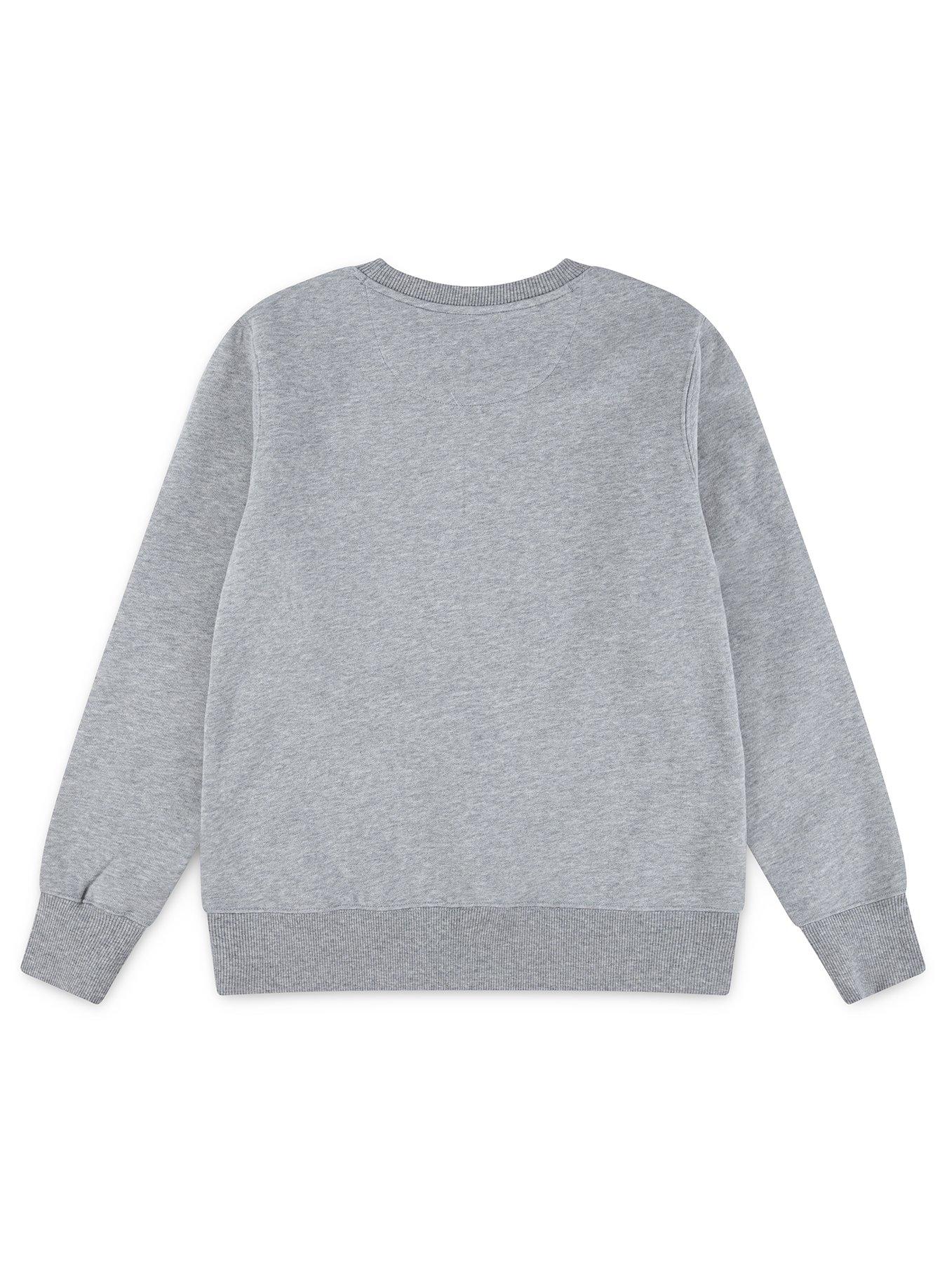 Image 2 of 3 of Levi's Boys Streamline Monogram Crewneck Top - Grey