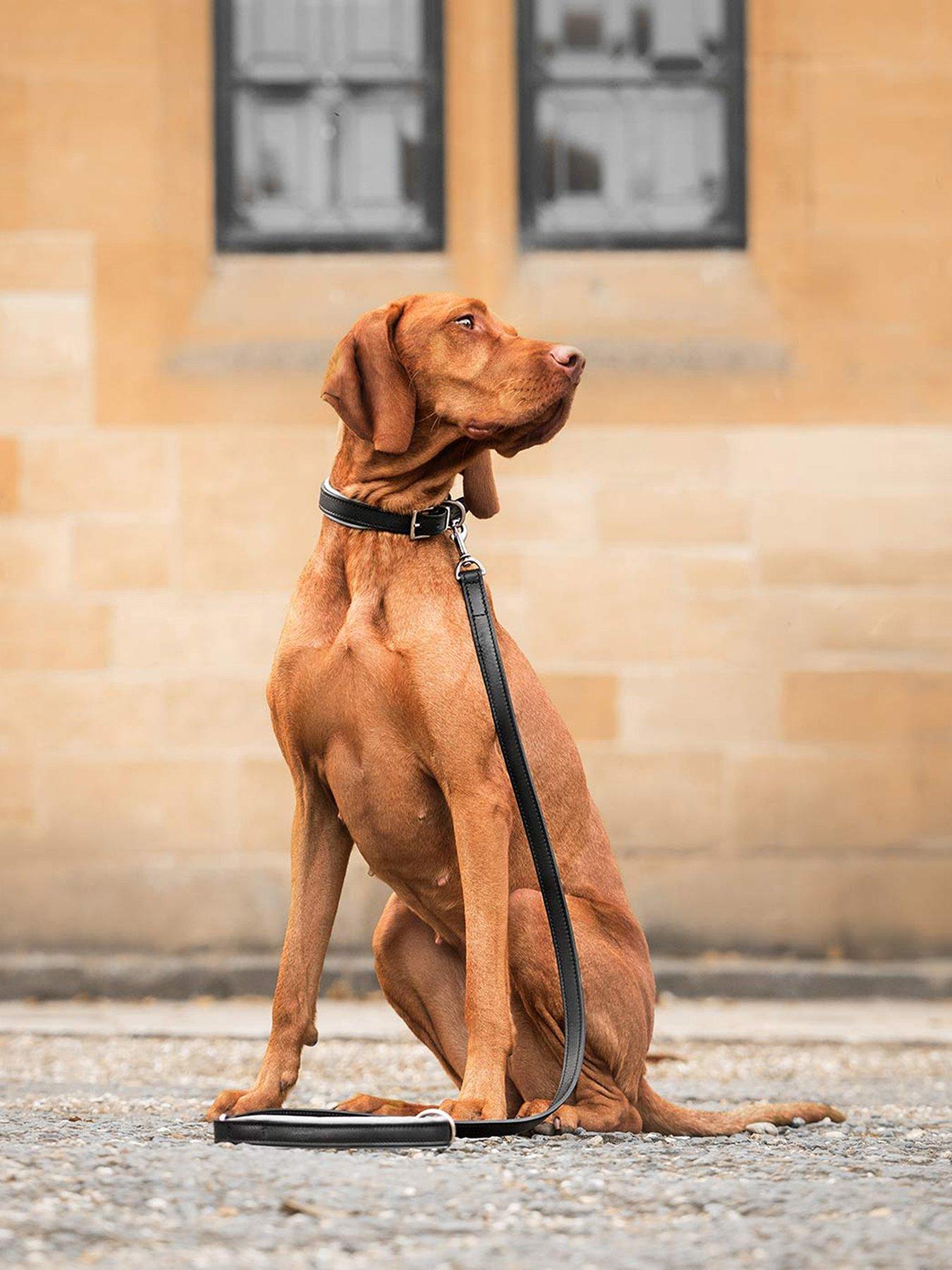 lords-and-labradors-italian-leather-collar-black-amp-grey