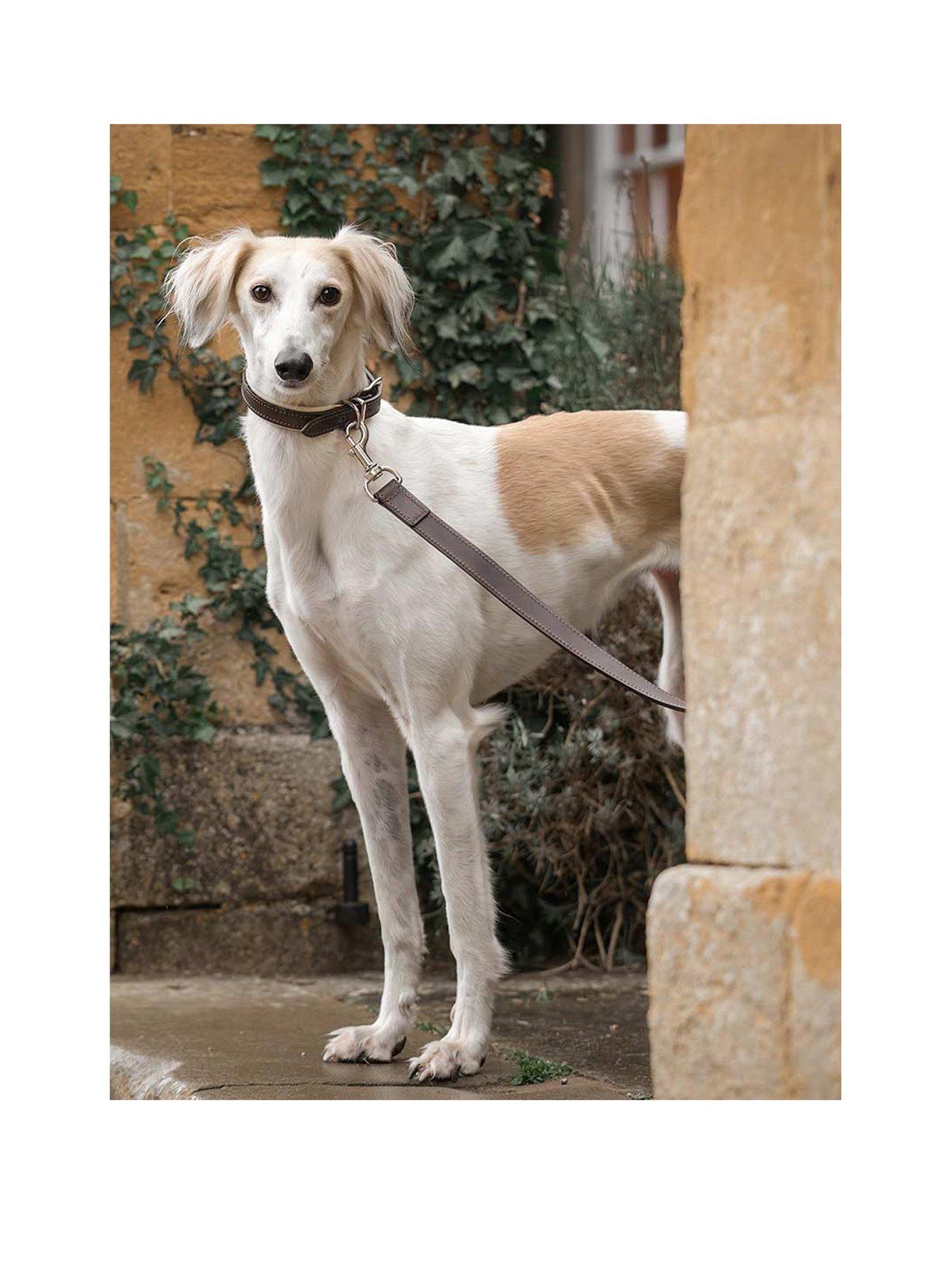 lords-and-labradors-italian-leather-lead-brown-amp-cream
