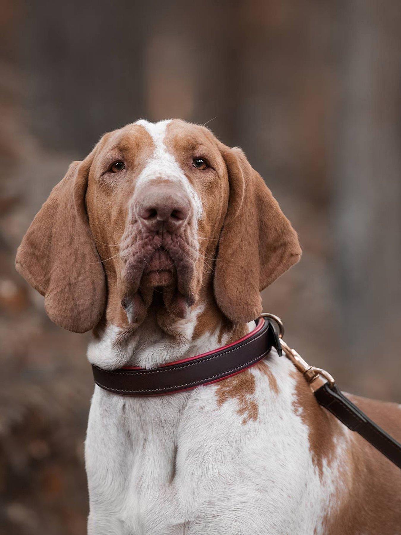 undefined Italian Leather Collar Brown & Red