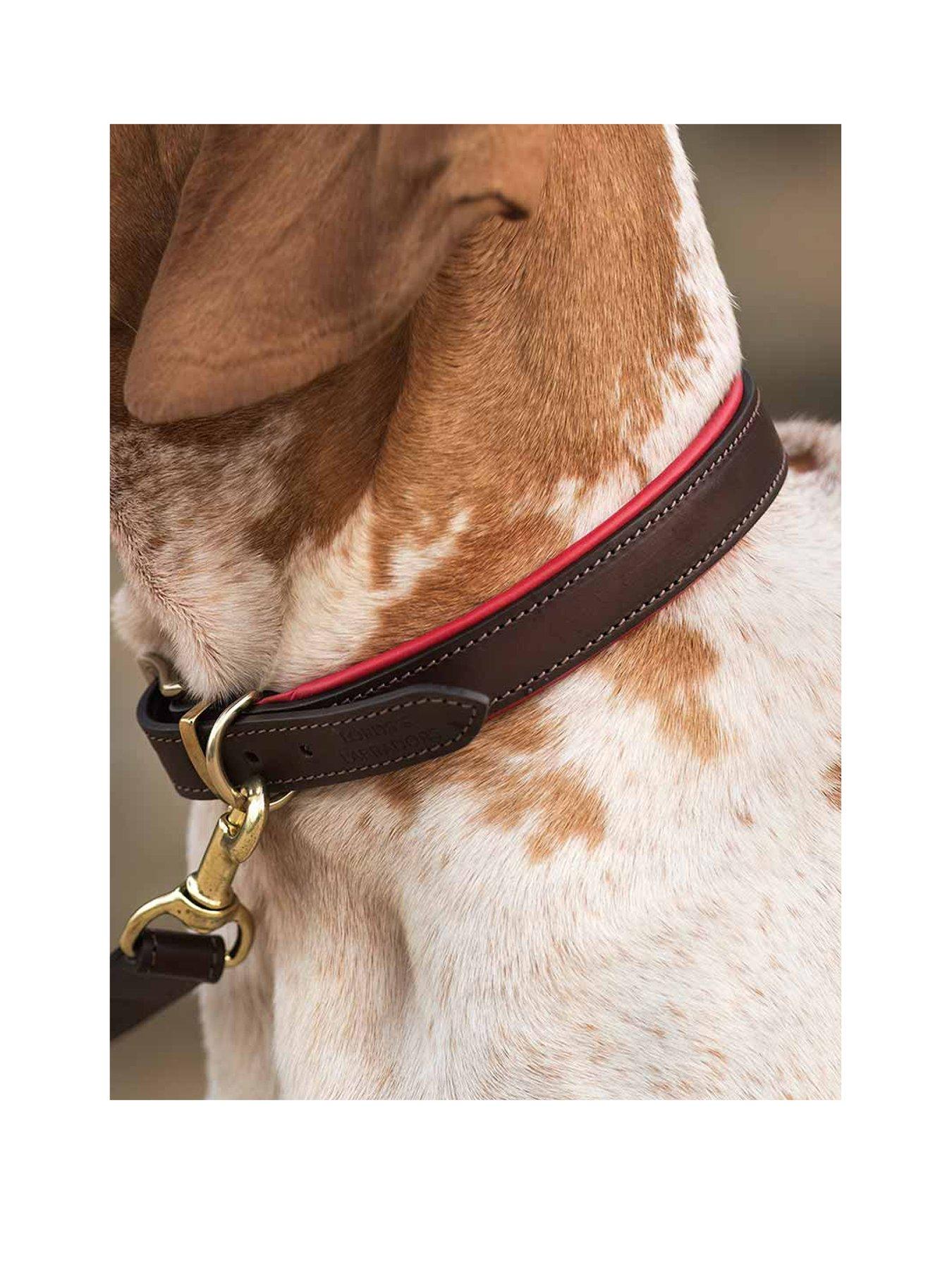 Image 2 of 4 of Lords and Labradors Italian Leather Collar Brown & Red