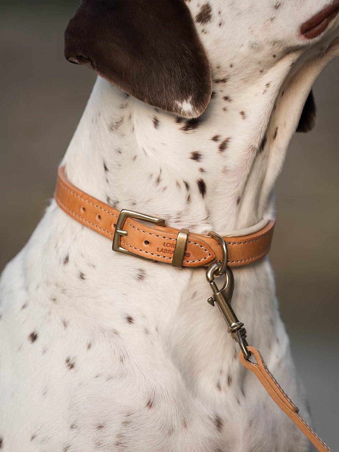 undefined Italian Leather Collar Tan & Cream