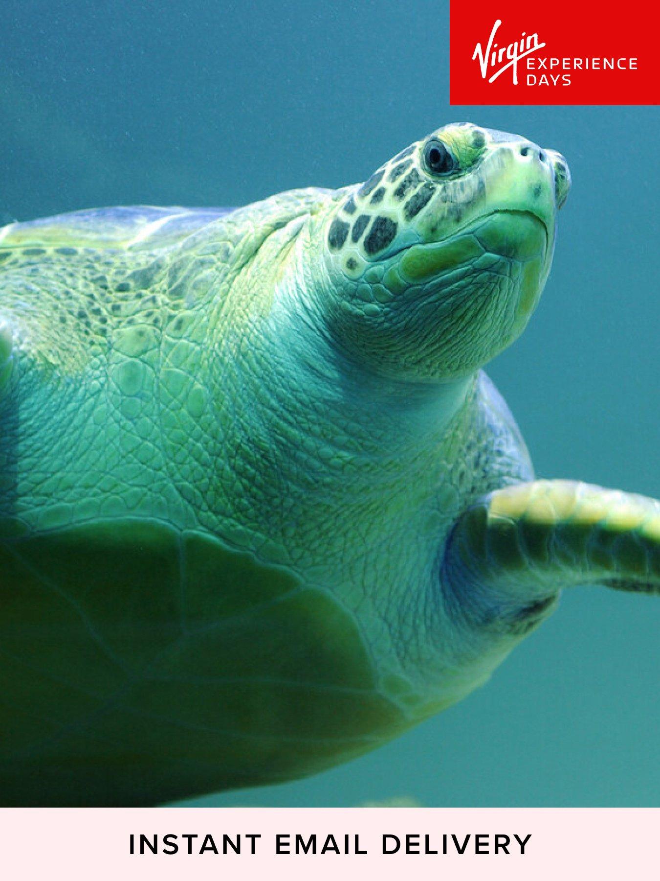 undefined Turtle Feeding and Entry for Two at SEA LIFE Blackpool