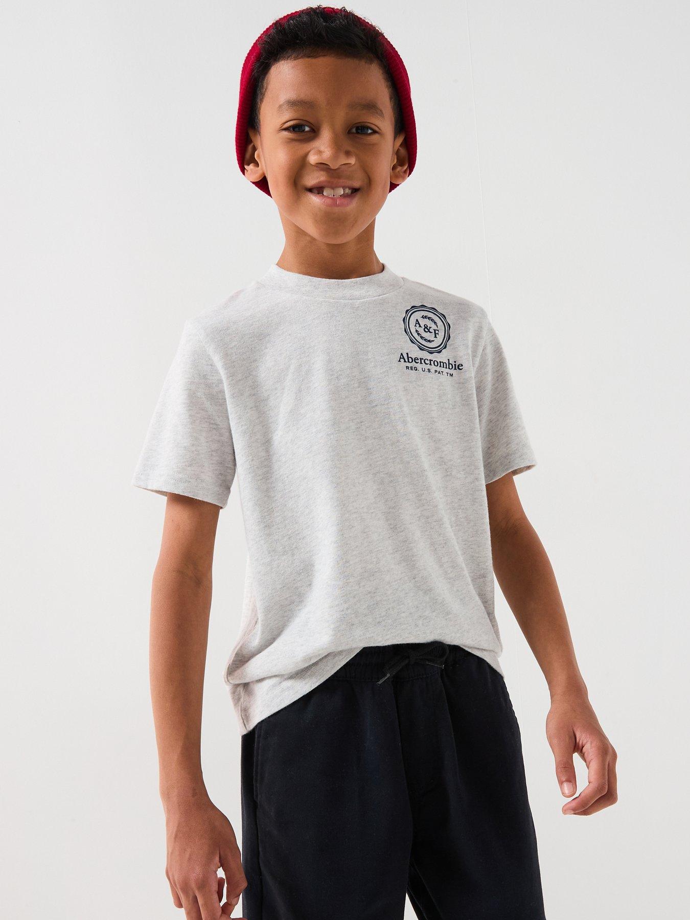 Abercrombie & Fitch Boys Foothills Short Sleeve T-Shirt - Grey
