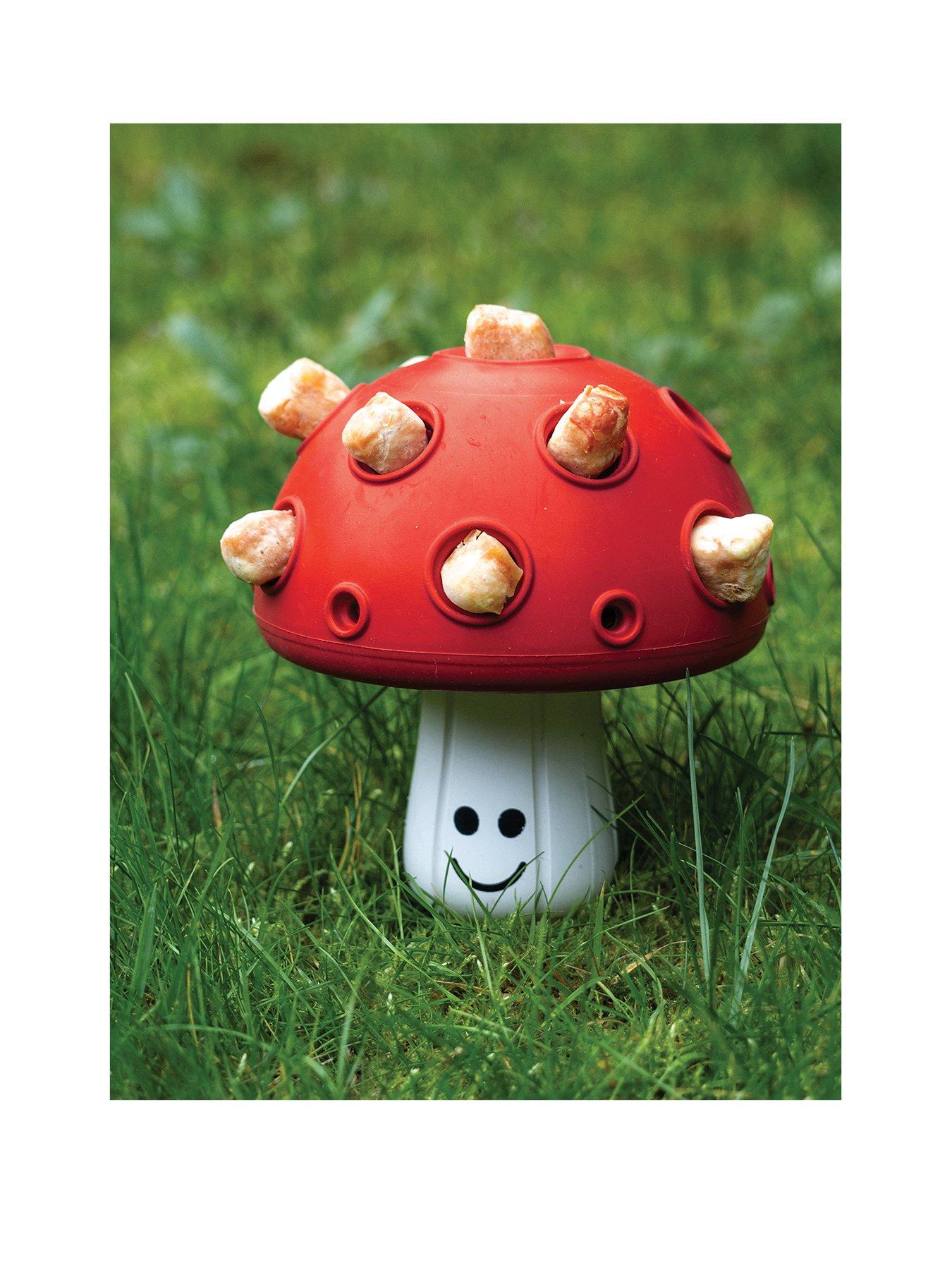 Image 3 of 4 of Zoon Treat Shroom