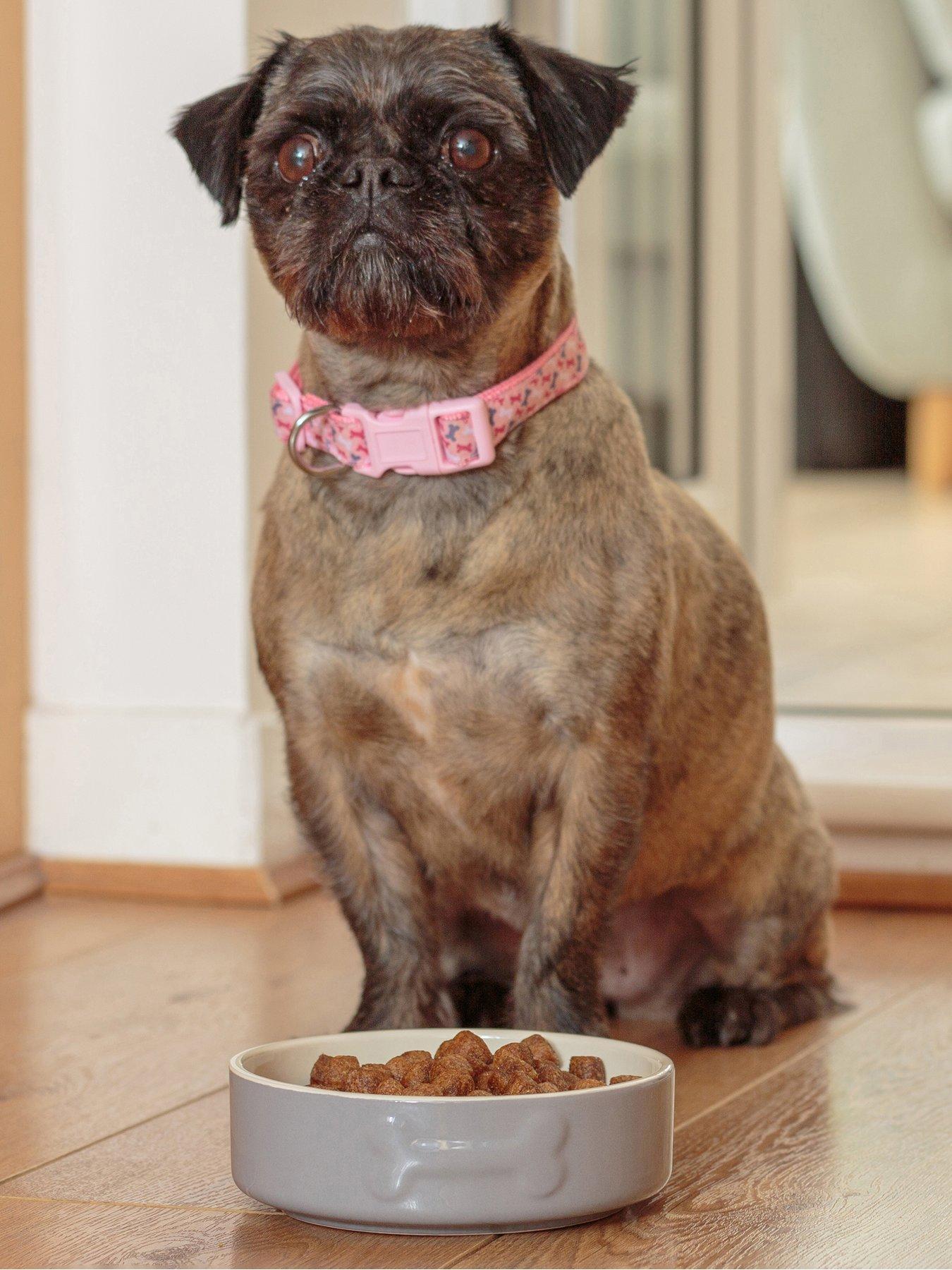 undefined Colour Mix Set Of 2 Dog Bowls