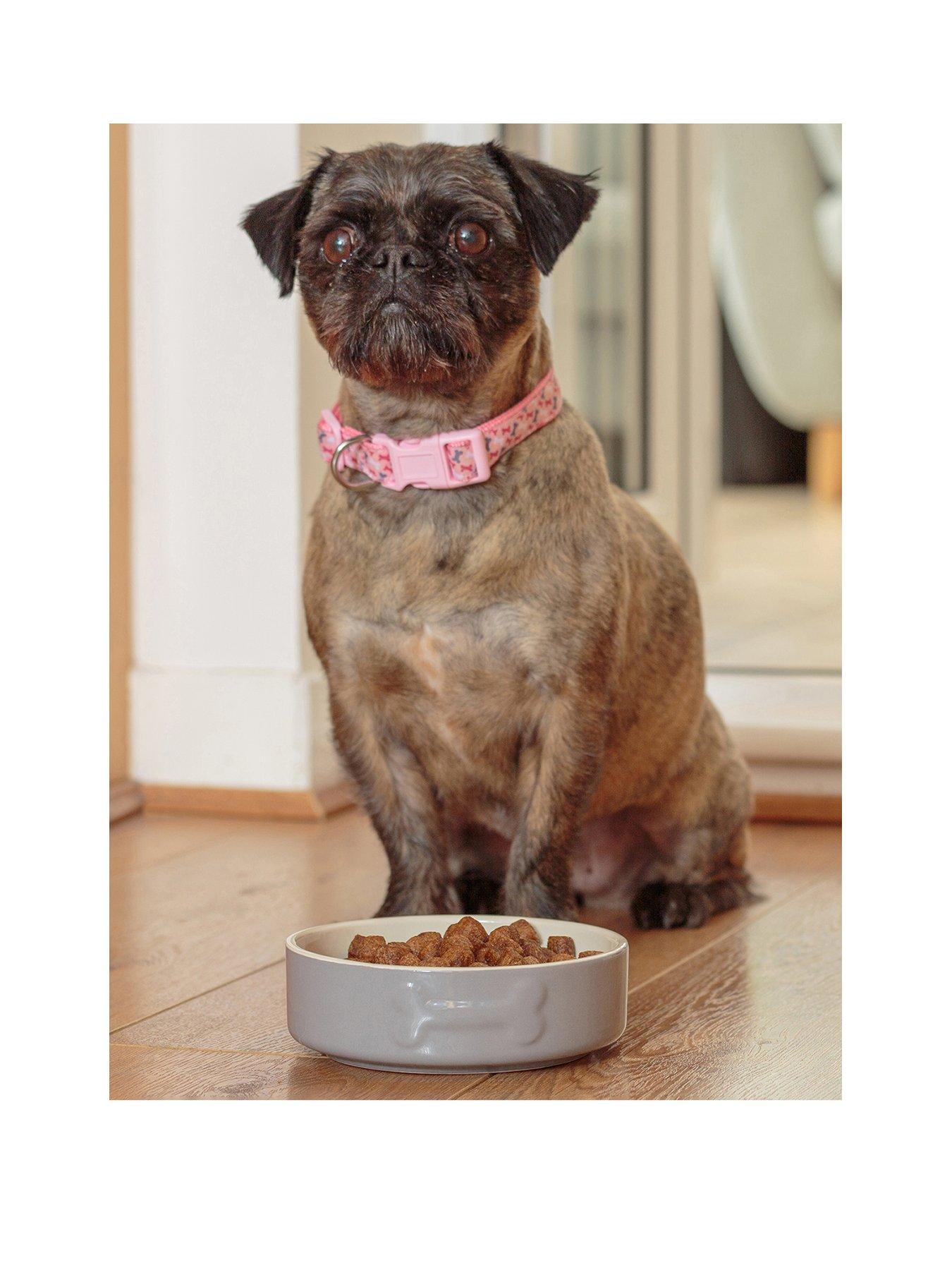 mason-cash-colour-mix-set-of-2-dog-bowls