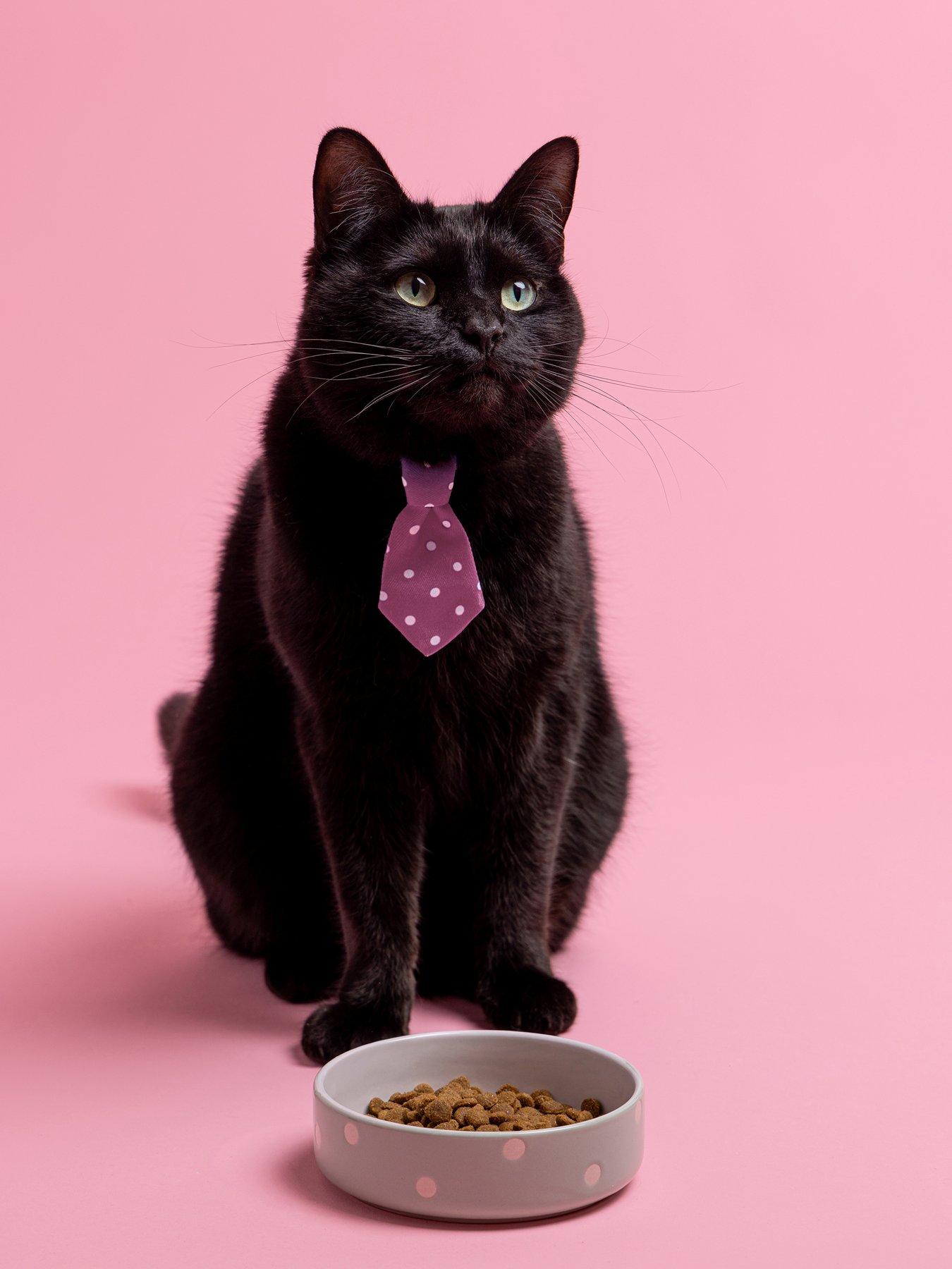 mason-cash-polka-dot-sage-set-of-2-pet-bowls