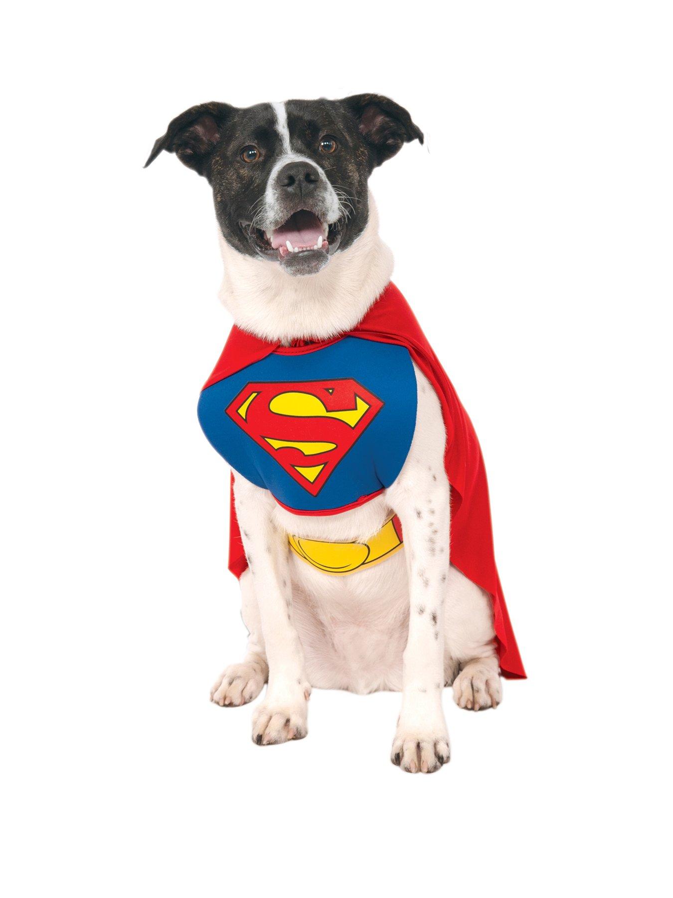 Superman Pet Fancy Dress