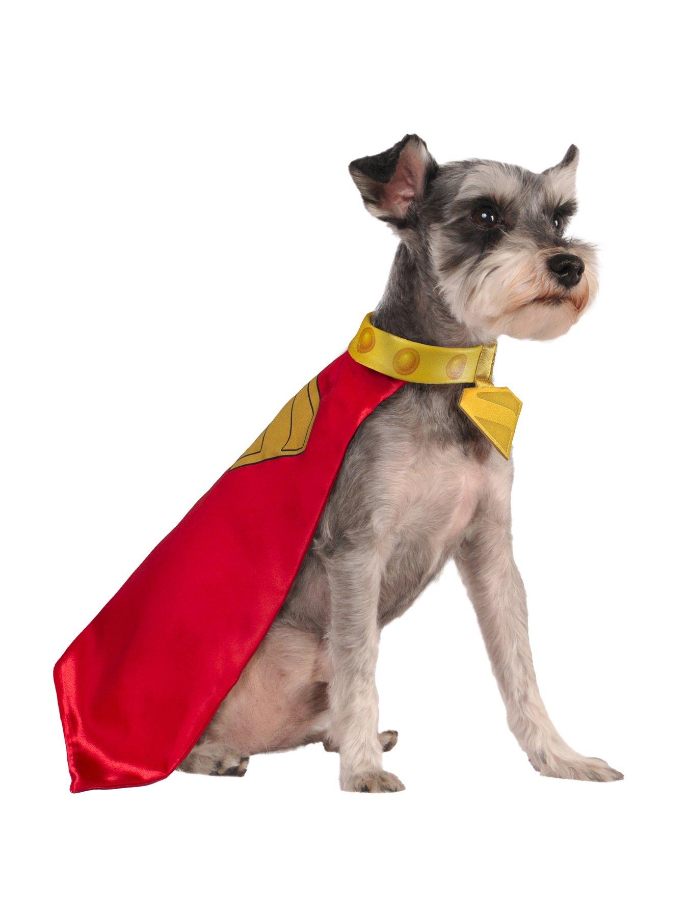 Image 3 of 6 of Superman Superman Krypto Pet Fancy Dress