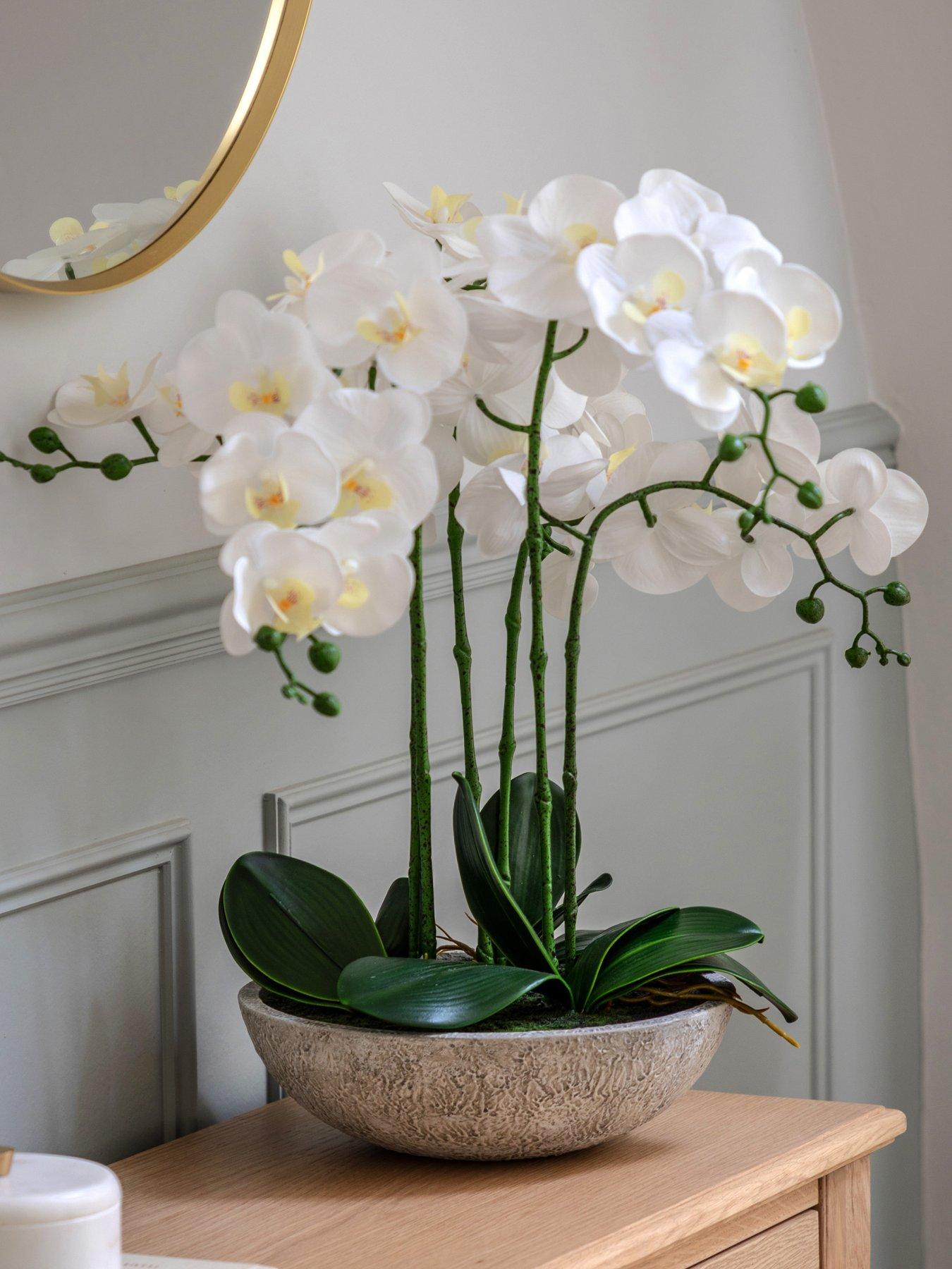 undefined Oversized Orchid In Cement Pot White