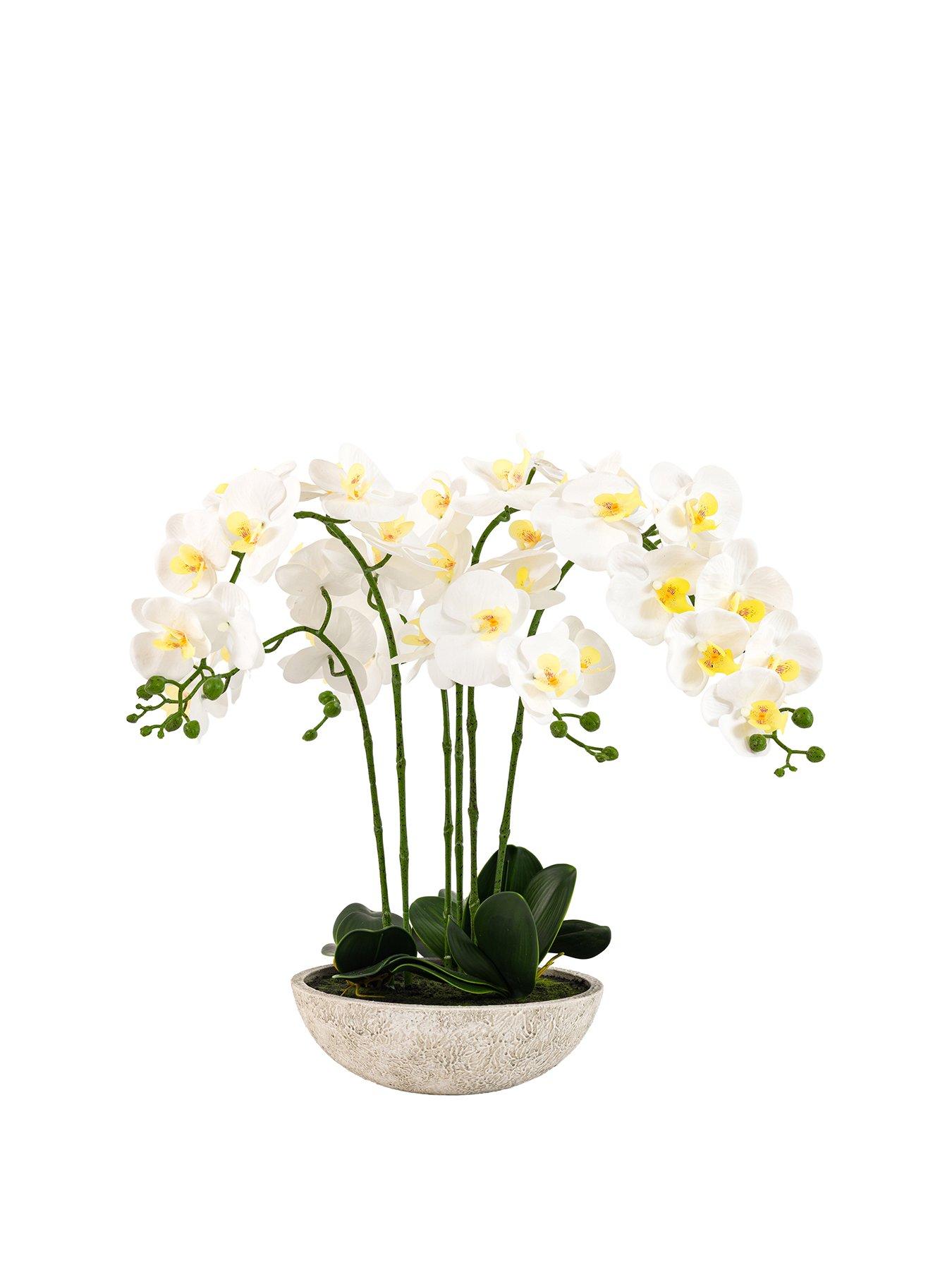 Image 2 of 7 of Gallery Direct Oversized Orchid In Cement Pot White