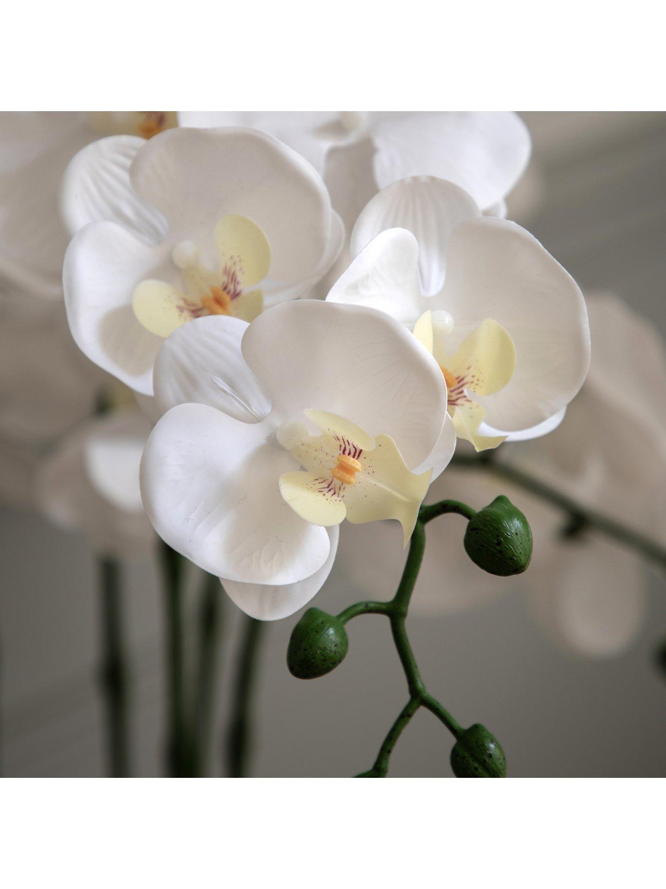 Image 3 of 7 of Gallery Direct Oversized Orchid In Cement Pot White