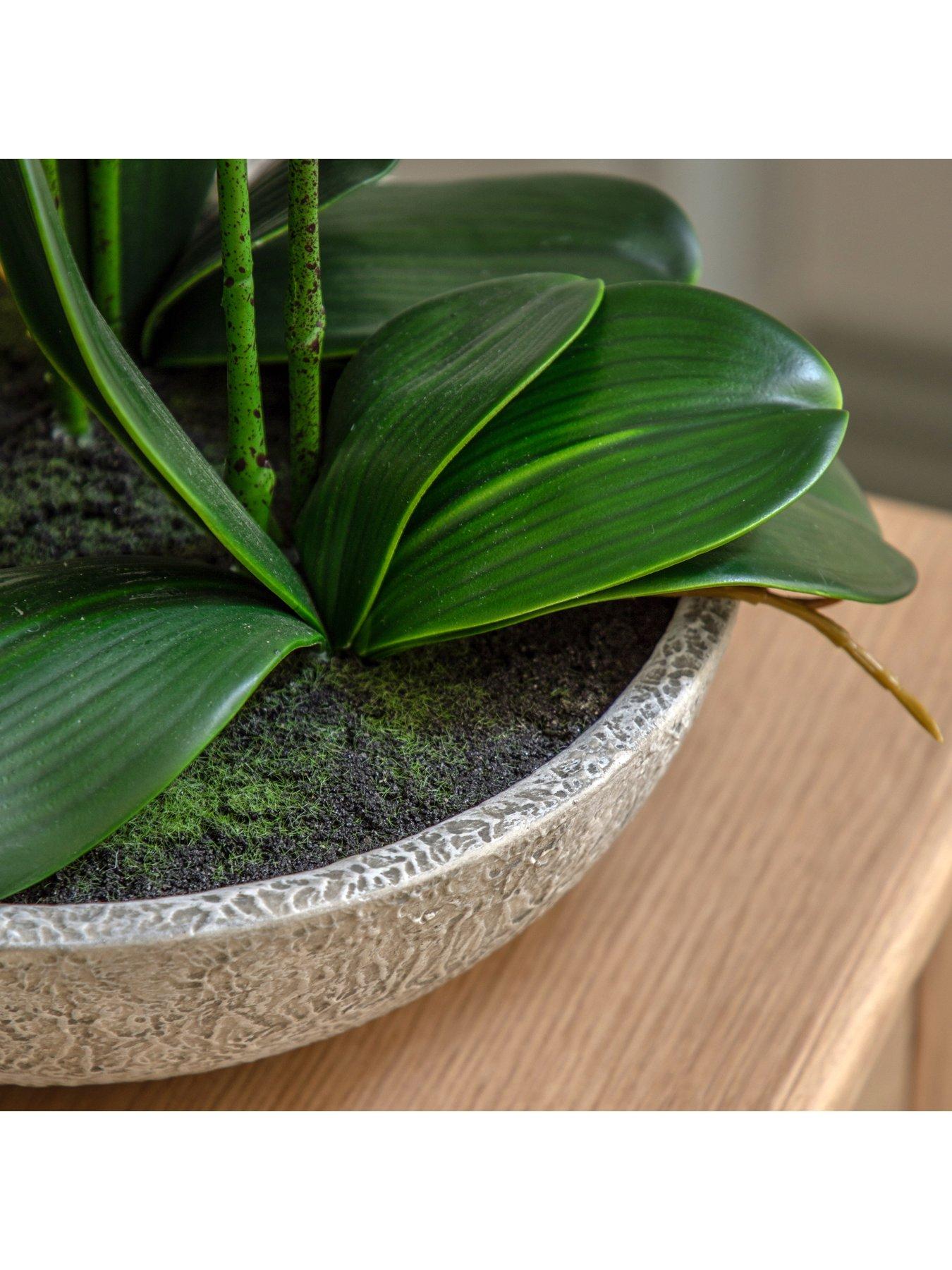 Image 4 of 7 of Gallery Direct Oversized Orchid In Cement Pot White