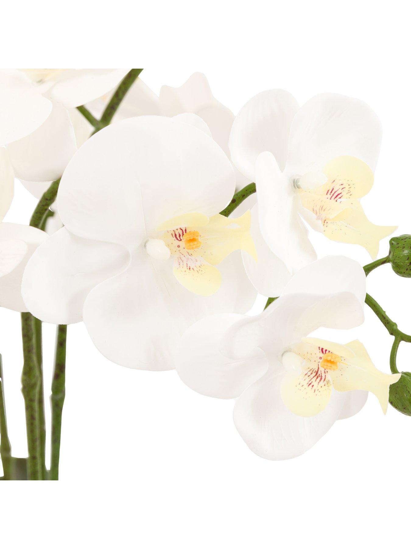 Image 6 of 7 of Gallery Direct Oversized Orchid In Cement Pot White