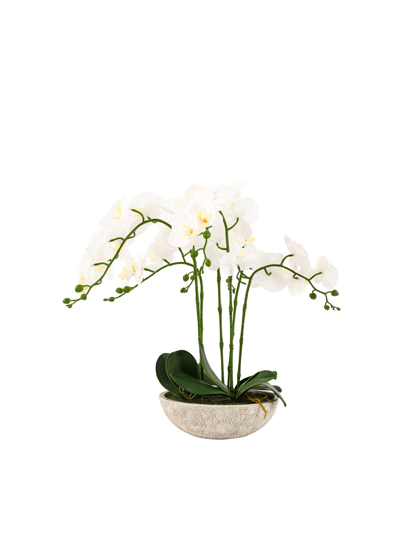 Image 7 of 7 of Gallery Direct Oversized Orchid In Cement Pot White