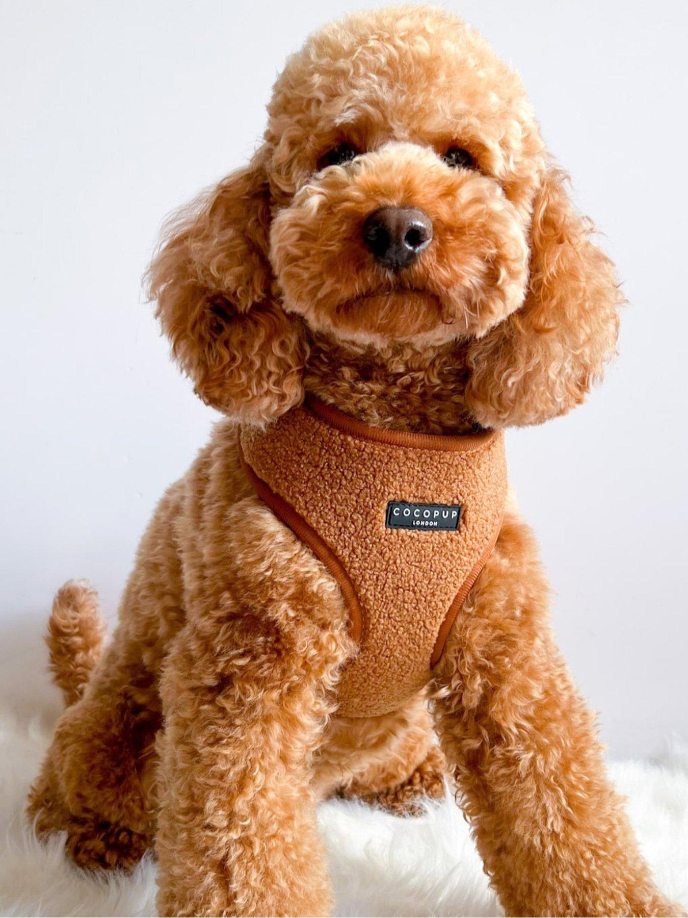 cocopup-teddy-paddington-harness