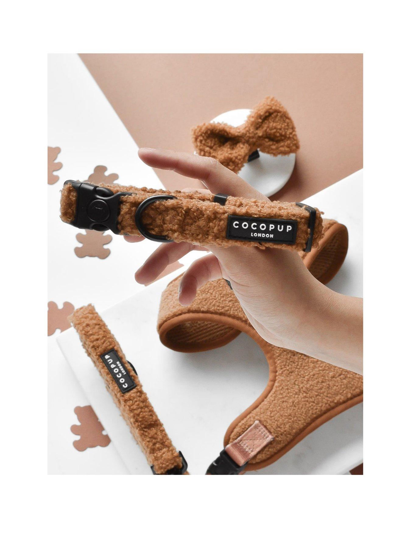 undefined Teddy Paddington Collar