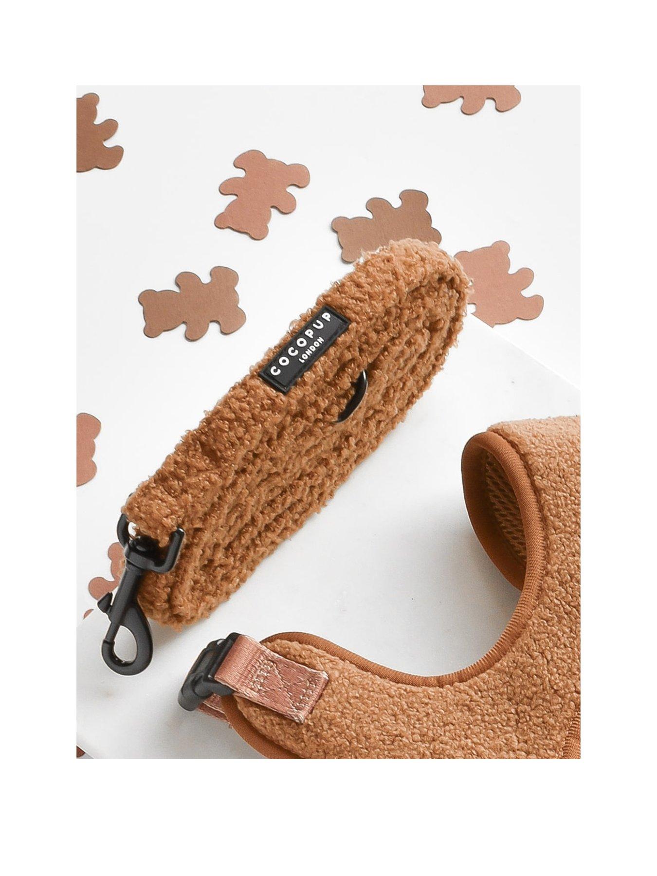 cocopup-teddy-paddington-lead