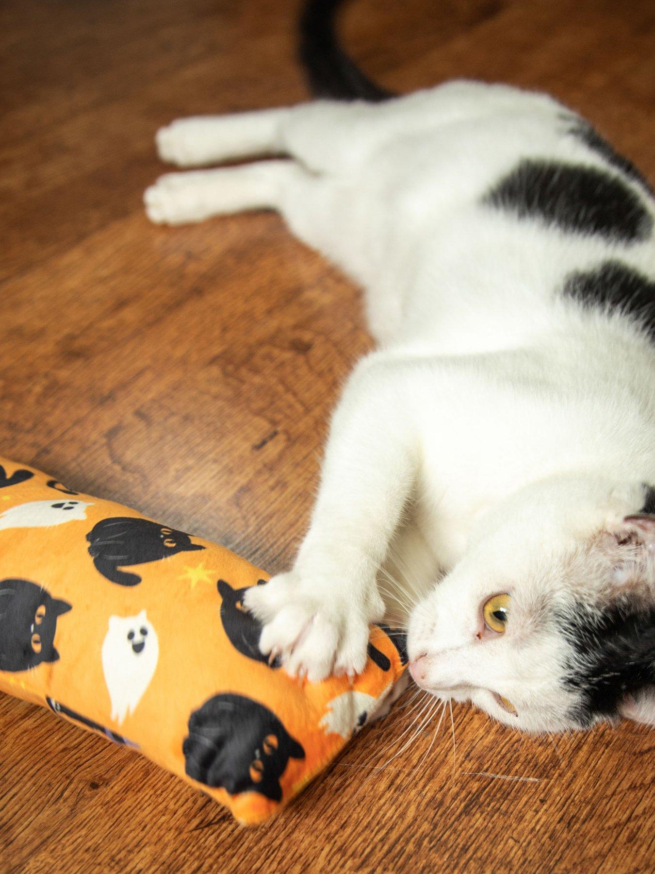 Image 4 of 5 of Rosewood Halloween Cat Gift Mina Mouse &amp; Cat Kicker Toy Bundle