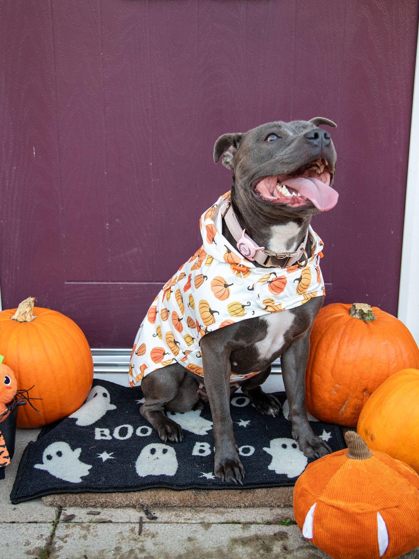Rosewood Pumpkin Raincoat