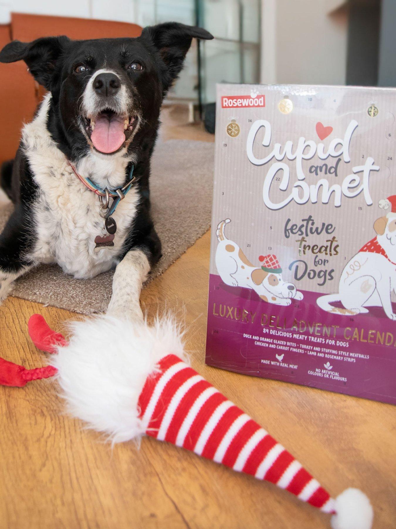 undefined Christmas Dog Luxury Deli Advent Calendar for Dogs 100g & Soft  Plush Dog Toy Bundle
