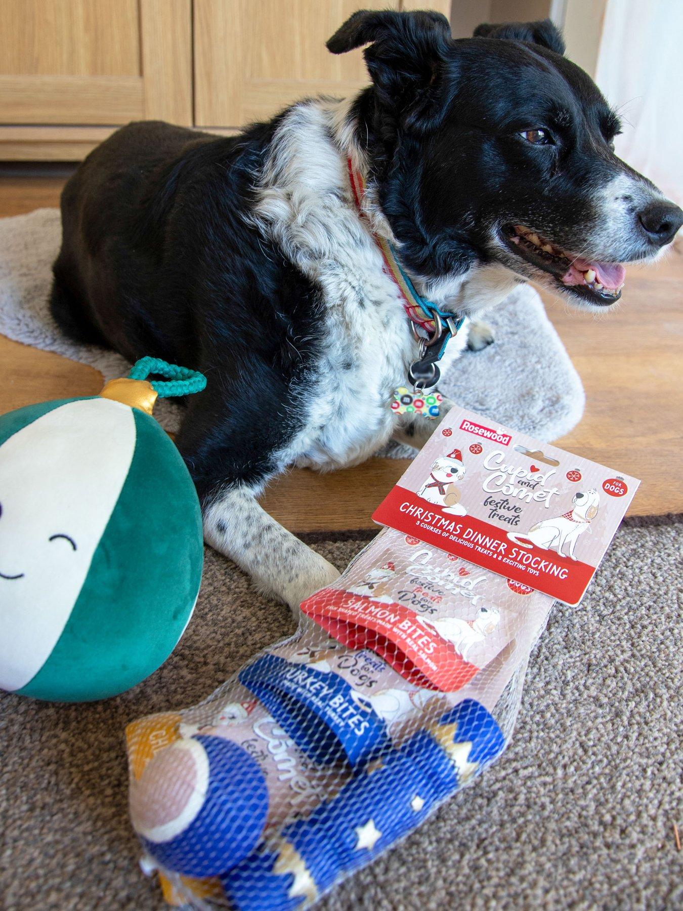 Image 1 of 6 of Rosewood Christmas Dinner Dog Stocking  & Blitzen Bauble Extra-Large Festive Giggling Dog Toy Bun