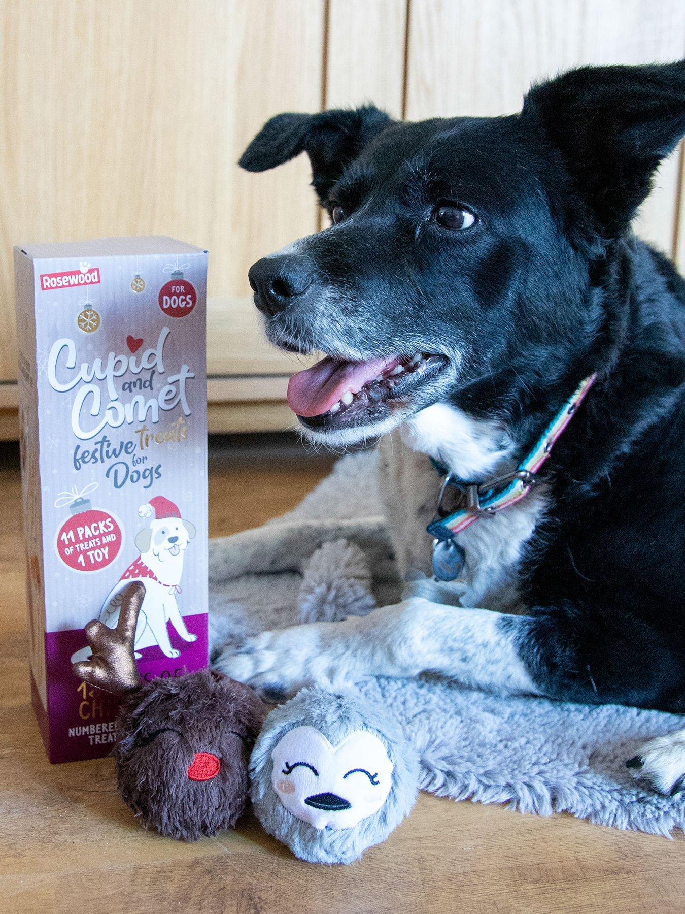 undefined 12 Days of Christmas Advent Calendar for Dogs and Plus toy Duo Bundle