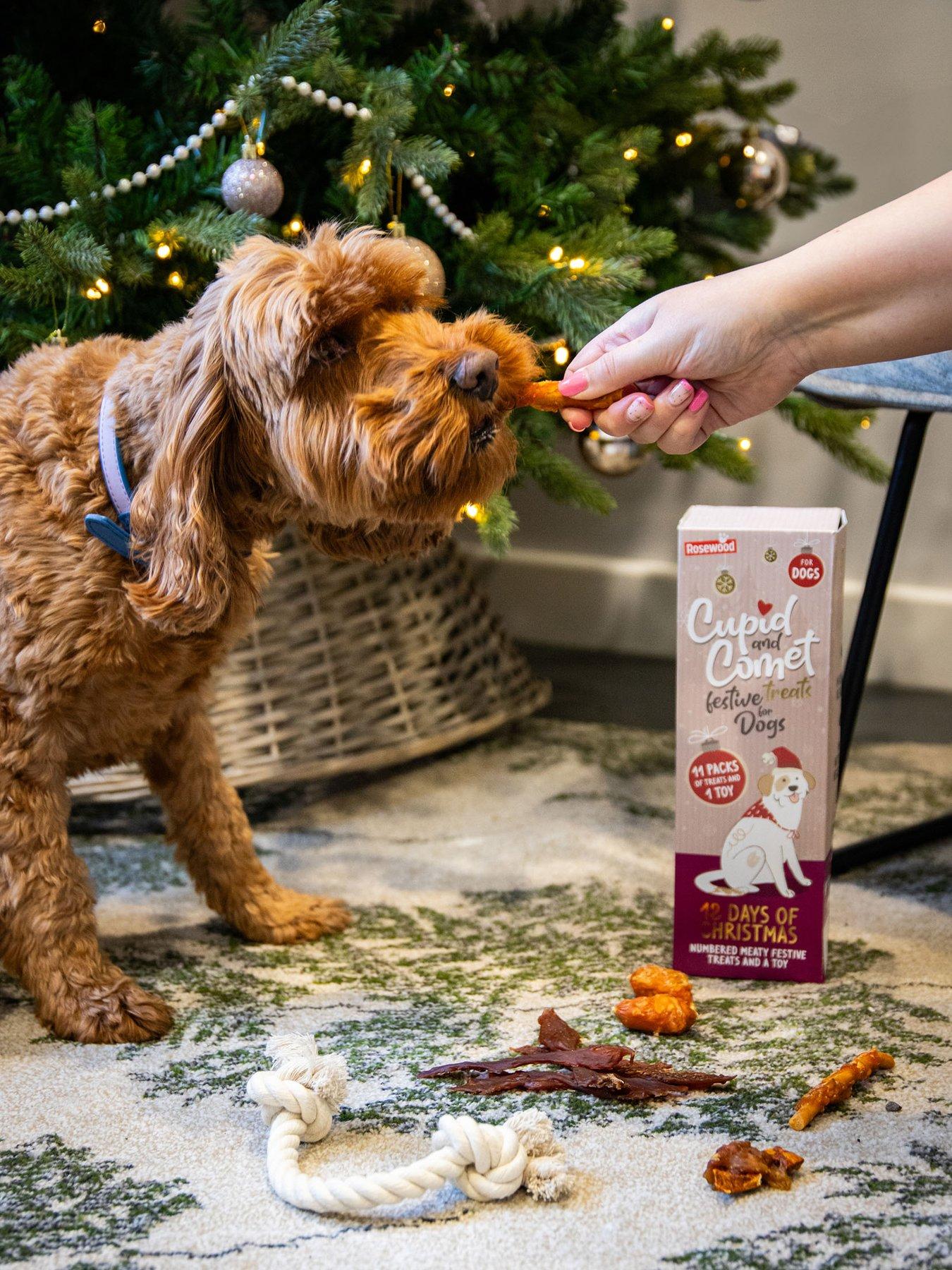 Image 6 of 7 of Rosewood 12 Days of Christmas Advent Calendar for Dogs and Plus toy Duo Bundle
