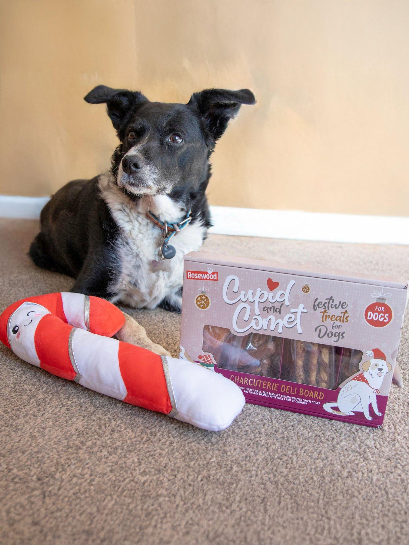 Image 1 of 6 of Rosewood Christmas Charcuterie Deli Board for Dogs 200g & Plush Cany Cane toy Bundle