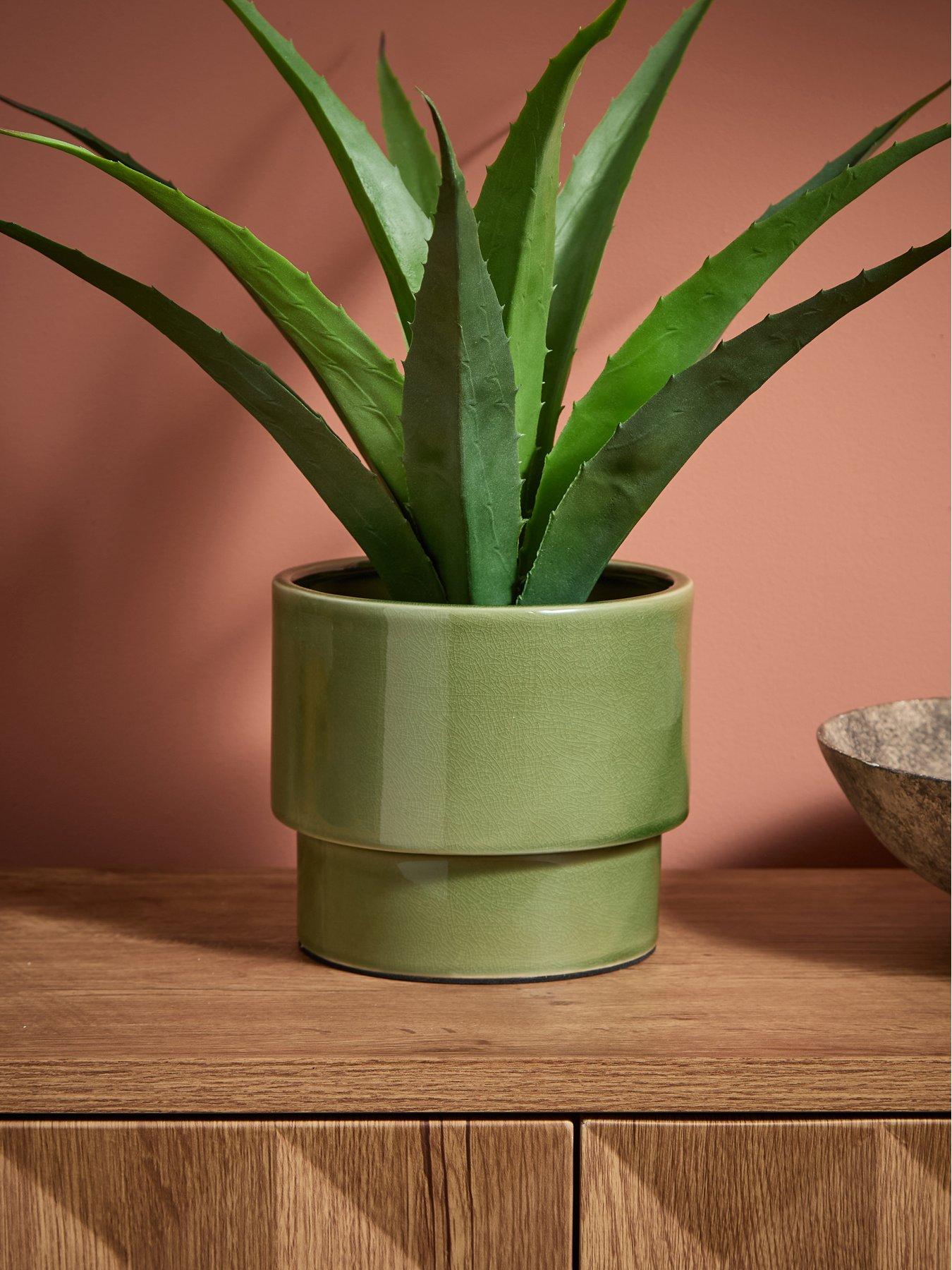 The Very Collection Green Ceramic Revive Planter
