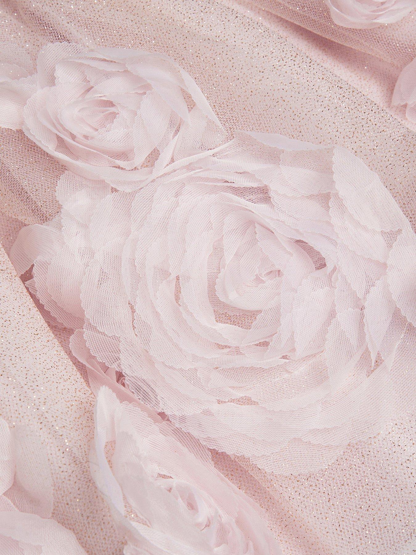 Image 4 of 4 of Monsoon Baby Girls Glinda Glitter 3d Roses Dress - Light Pink