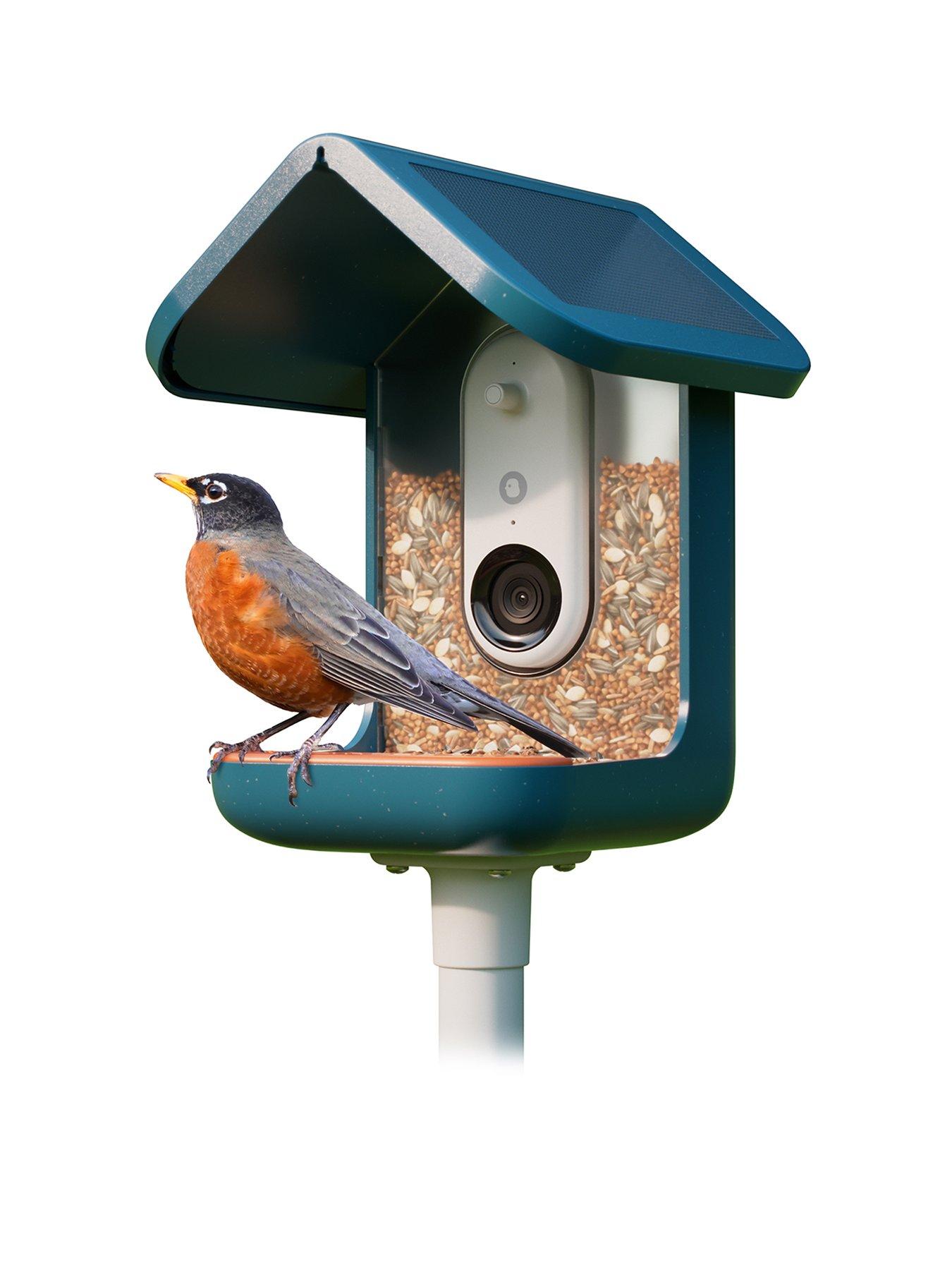 Image 1 of 6 of Birdbuddy Smart Bird Feeder Blue