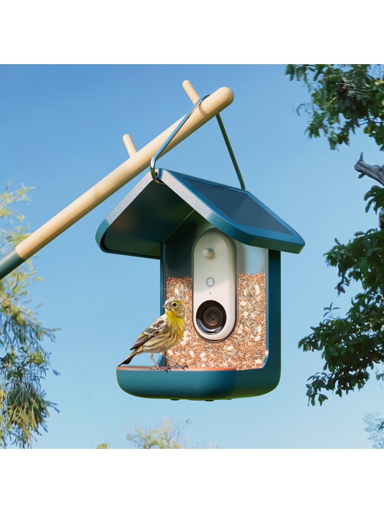 Image 4 of 6 of Birdbuddy Smart Bird Feeder Blue