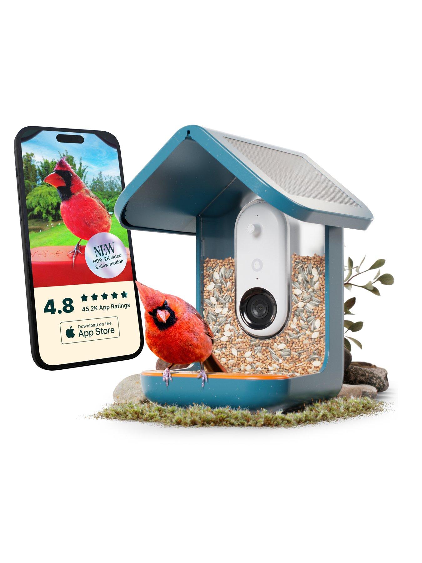 Image 6 of 6 of Birdbuddy Smart Bird Feeder Blue