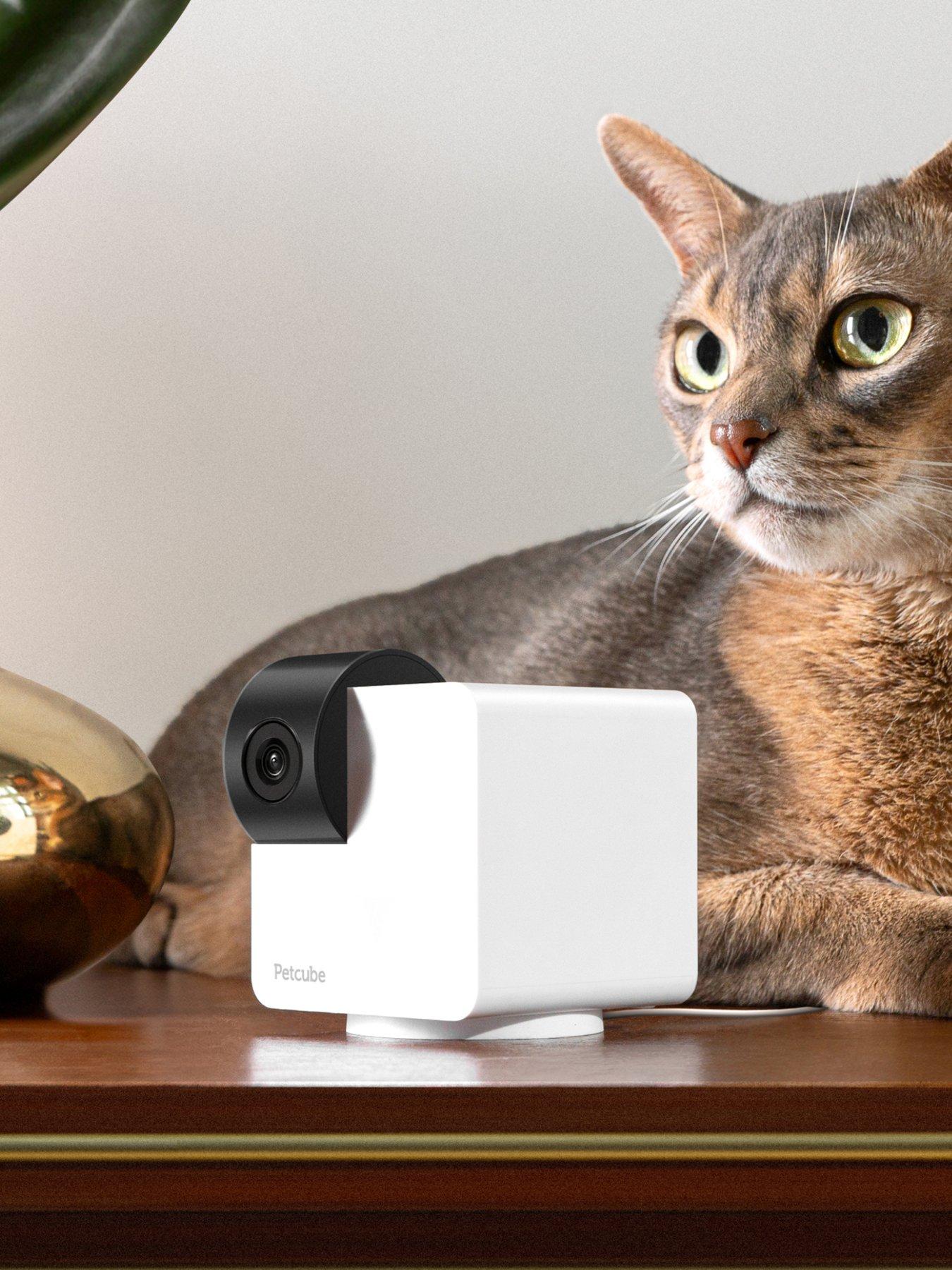 Petcube Cam 360 Pet monitoring Camera