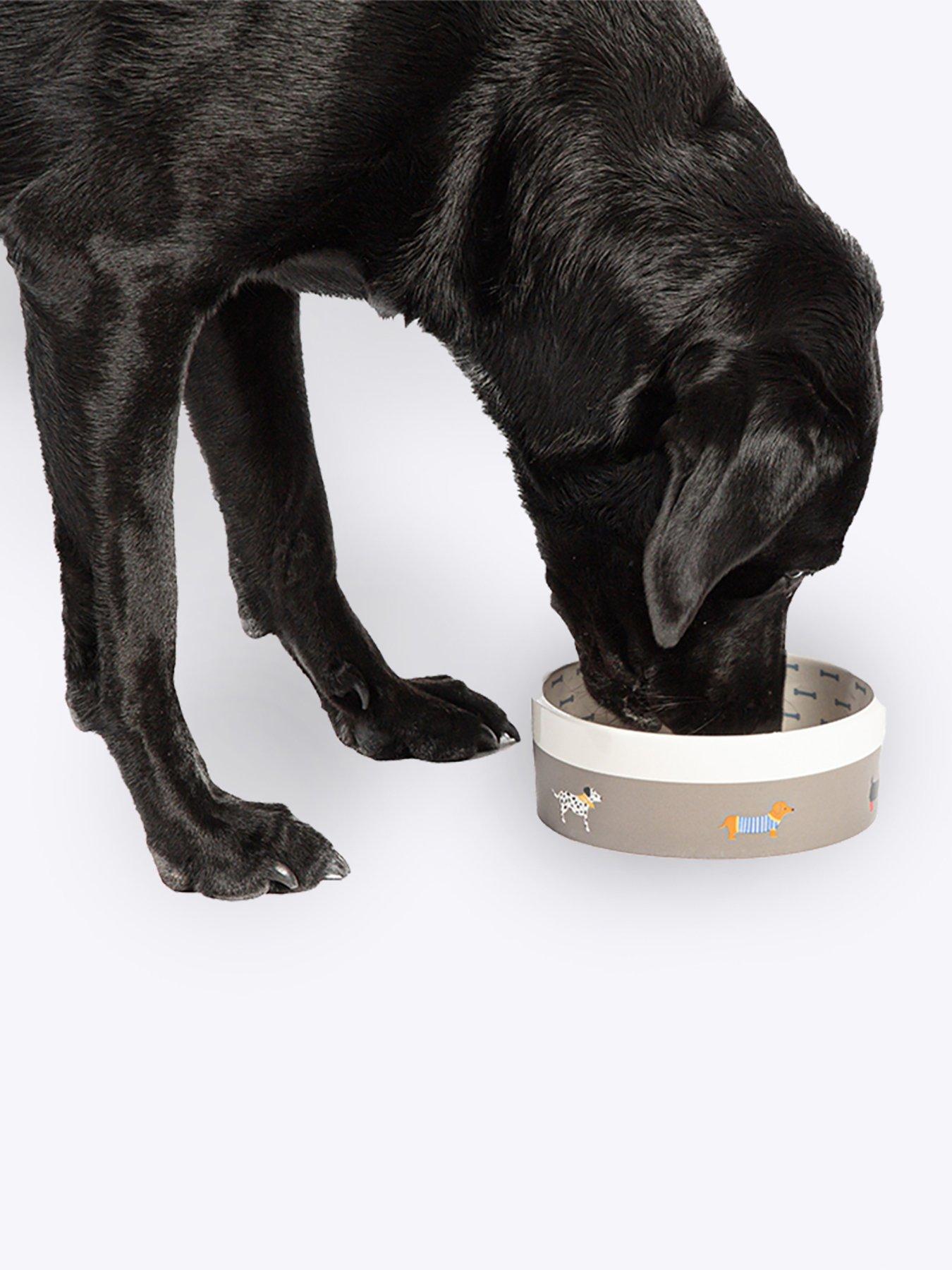  image of fatface-marching-dogs-pet-bowl