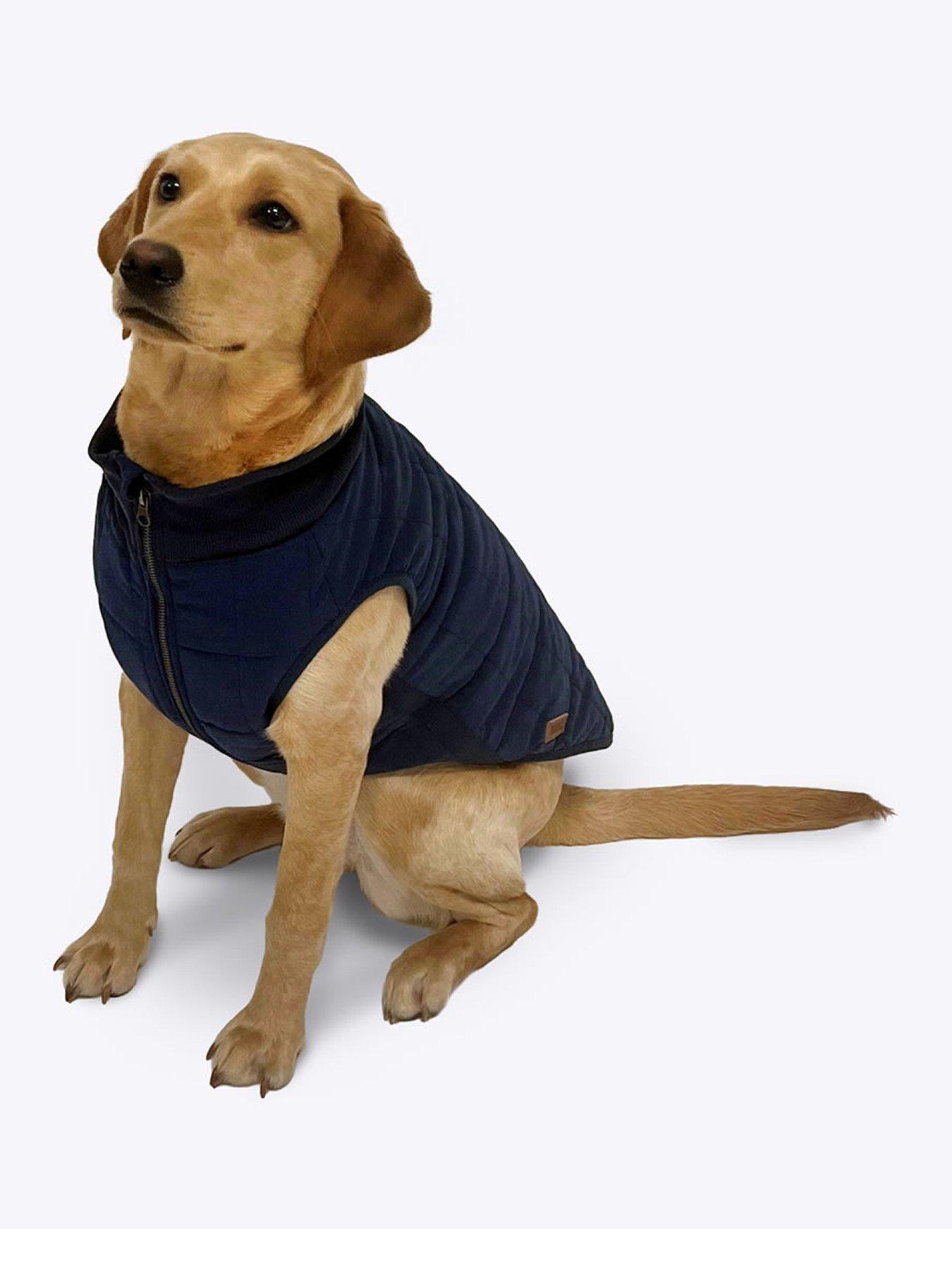 undefined Harley Puffer Dog Coat 35cm