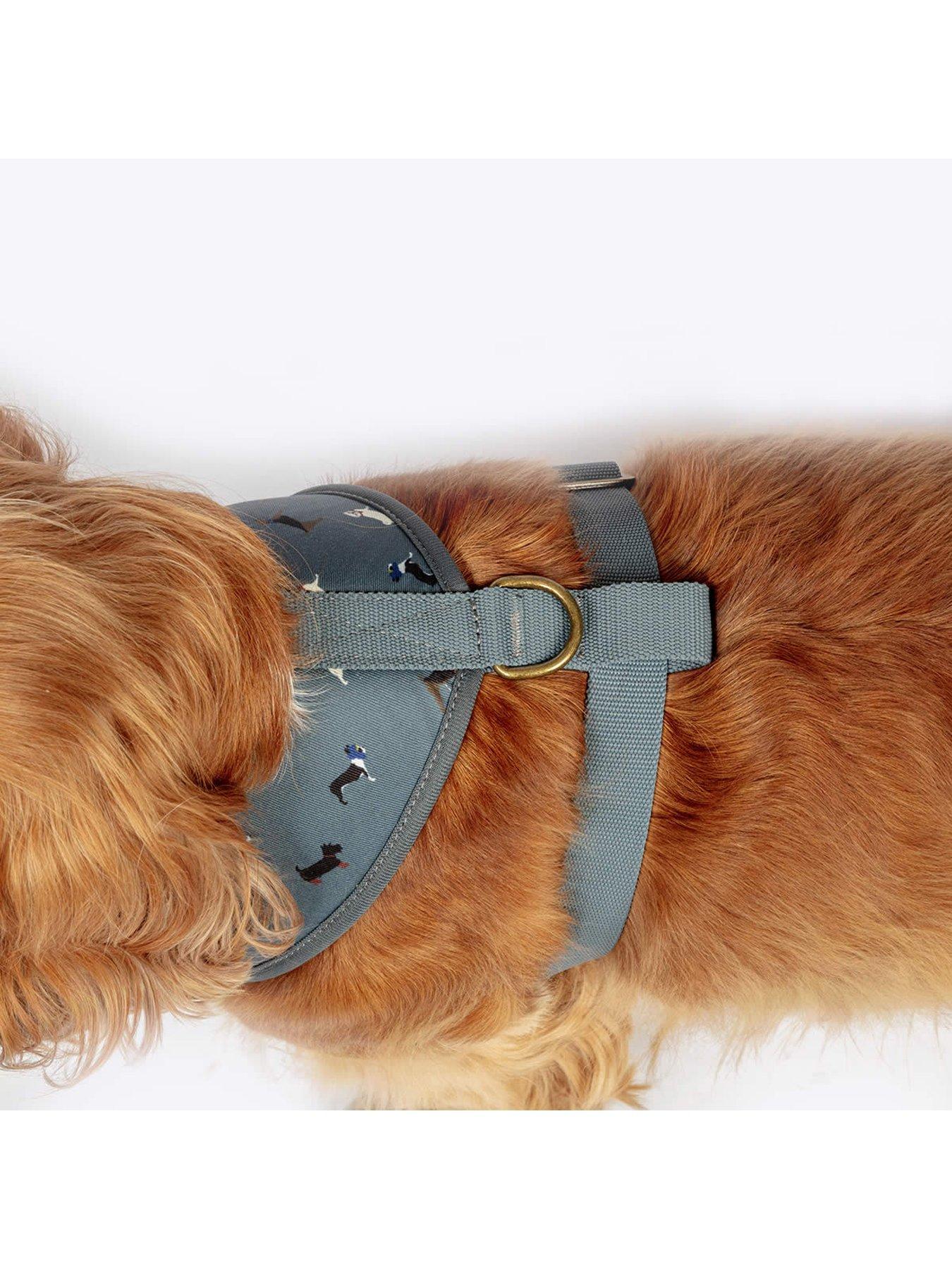 Image 4 of 5 of FatFace Marching Dogs Harness X-Small 34-45cm