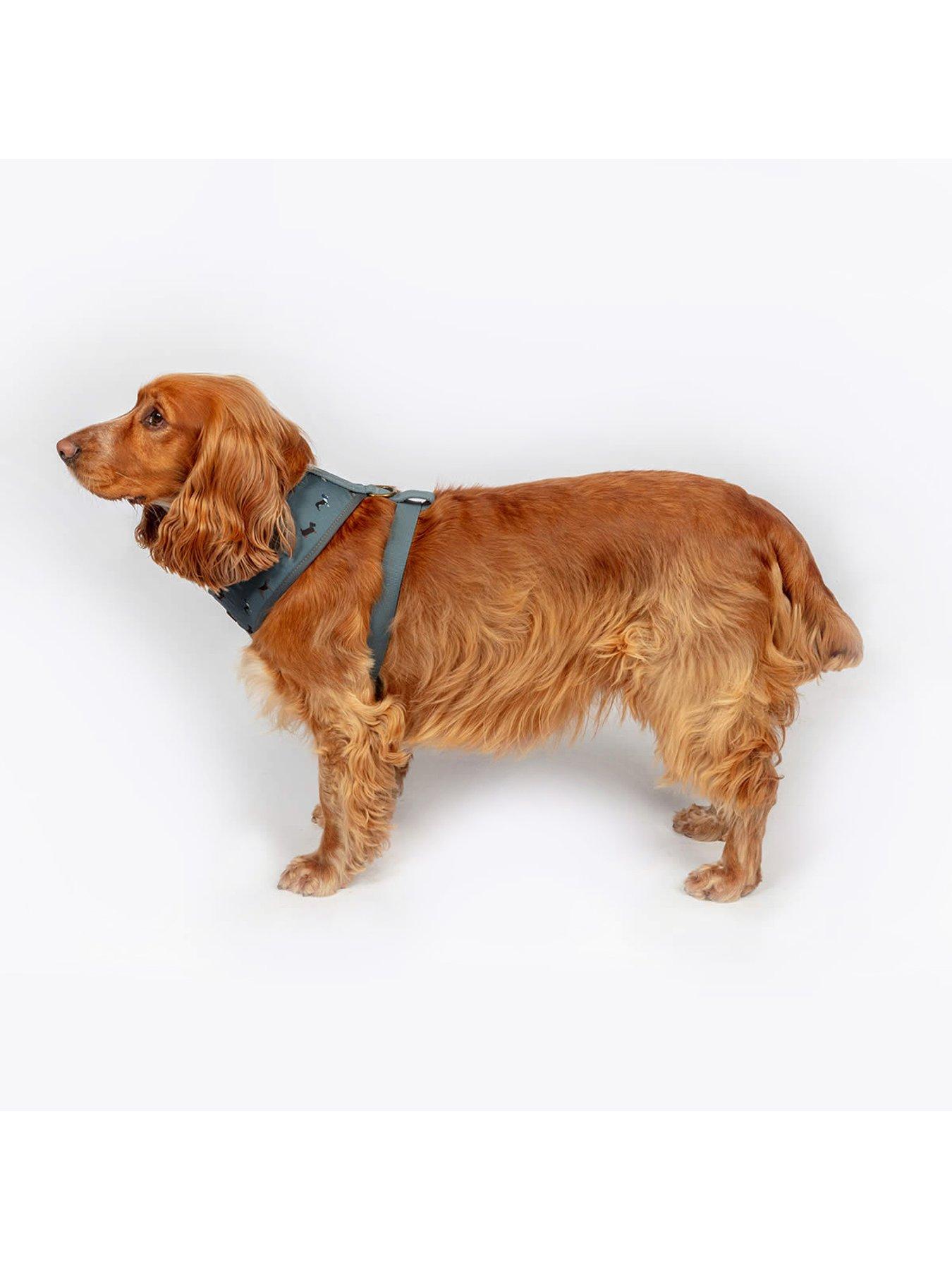 Image 5 of 5 of FatFace Marching Dogs Harness X-Small 34-45cm