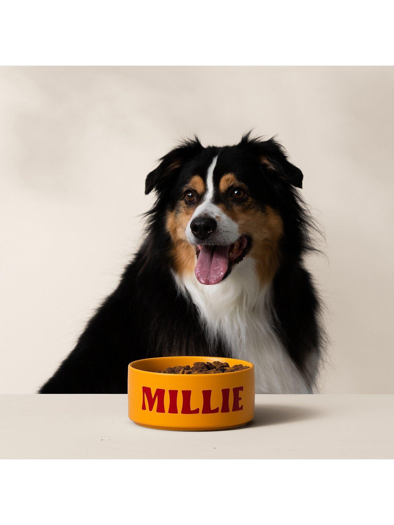  image of cricut-joy-xtra-gift-bundle-lavender