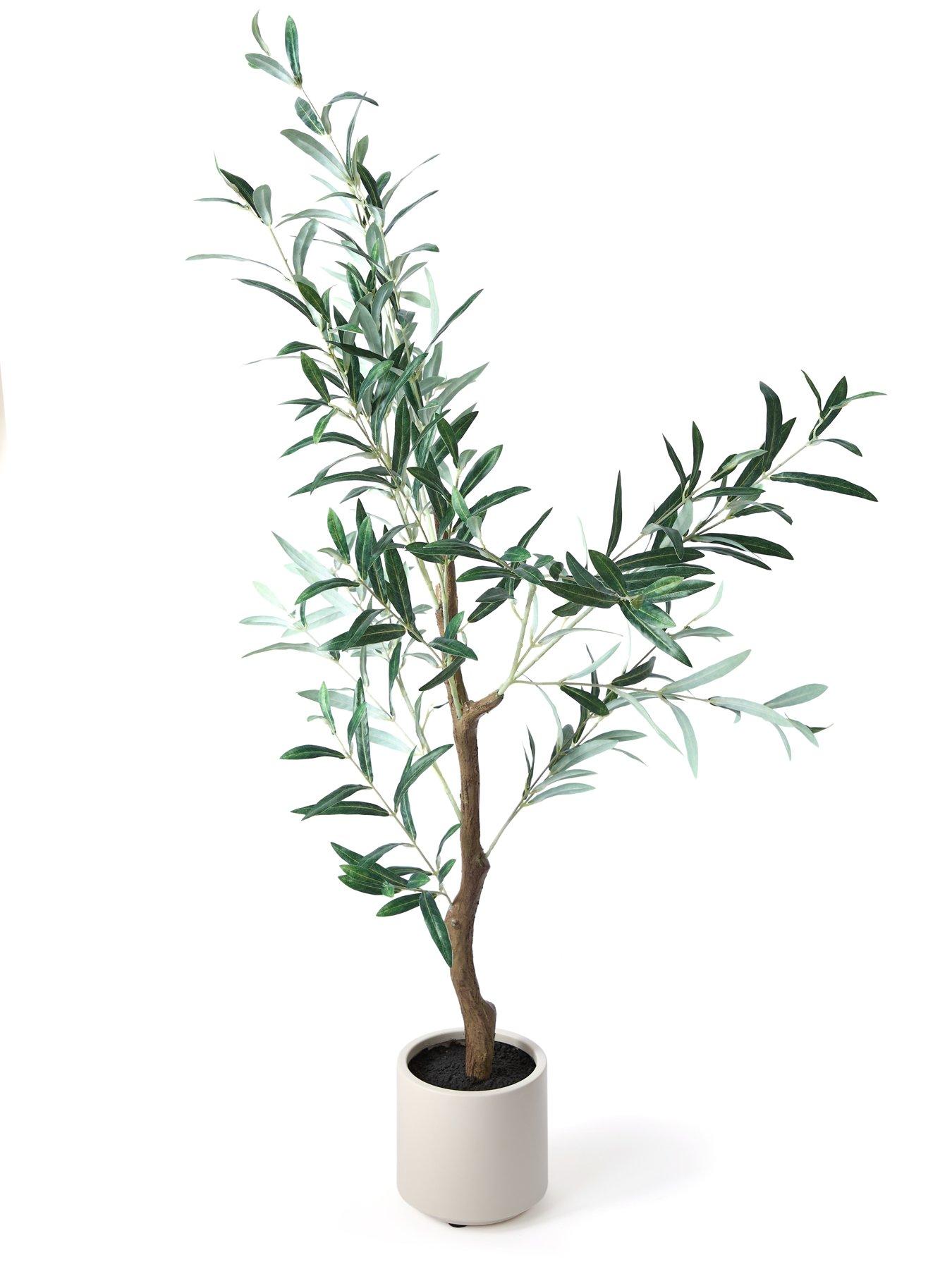 Image 3 of 5 of Michelle Keegan Home 120cm Real Touch Olive Tree Cream Pot (organic Stem)