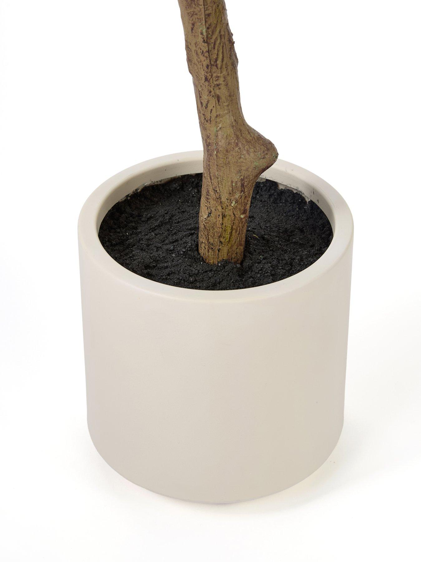 Image 4 of 5 of Michelle Keegan Home 120cm Real Touch Olive Tree Cream Pot (organic Stem)